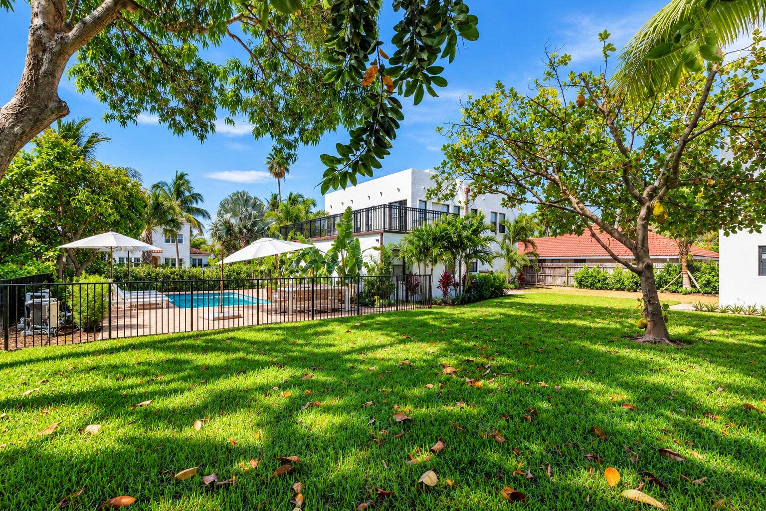 237/225 Monroe Drive, West Palm Beach, FL 33405 237 - Backyard