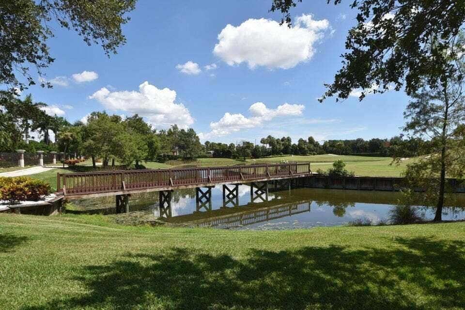 Gorgeous Views