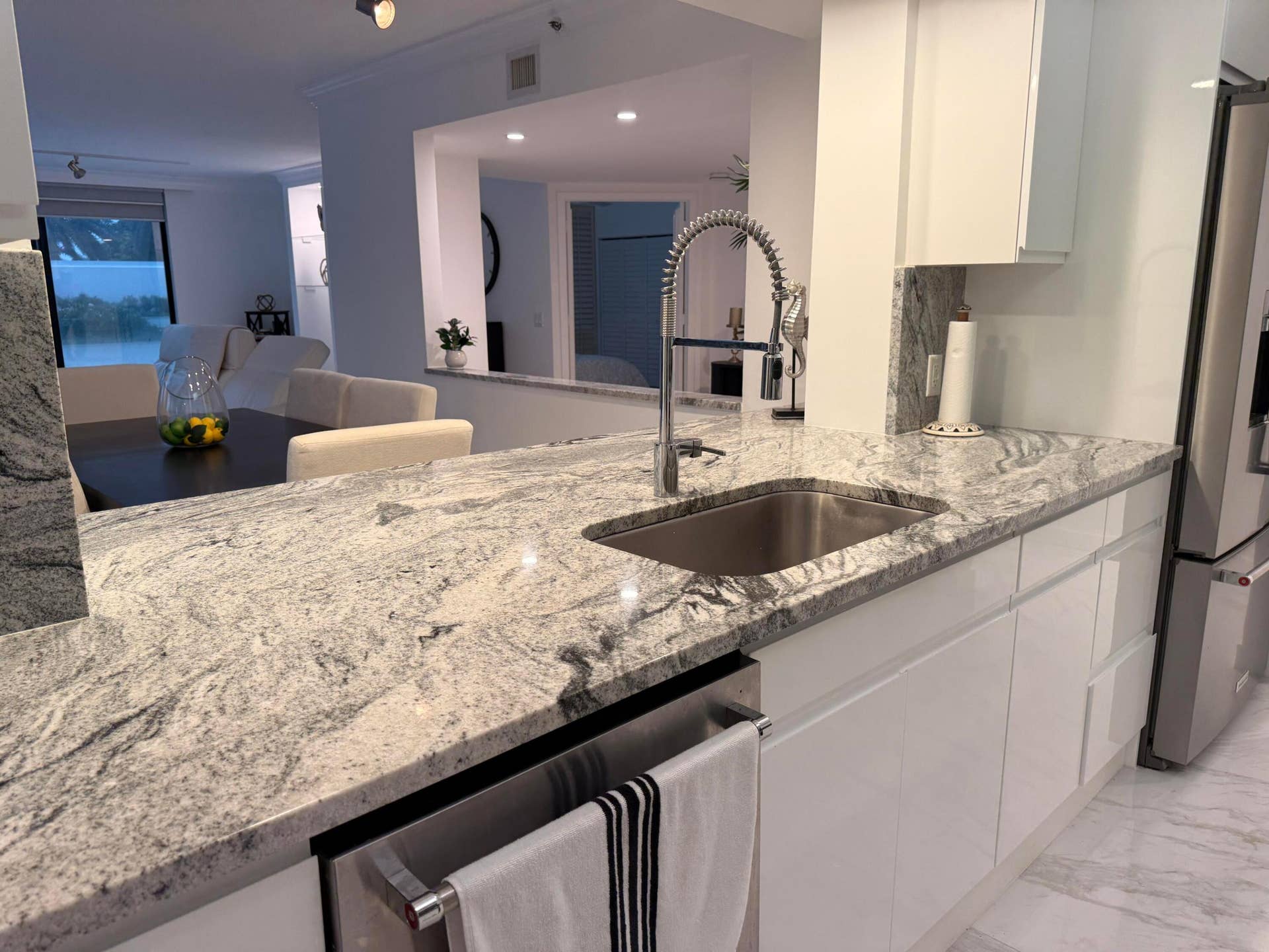 4100 N Ocean Drive, #104, Singer Island, FL 33404 IMG_1937