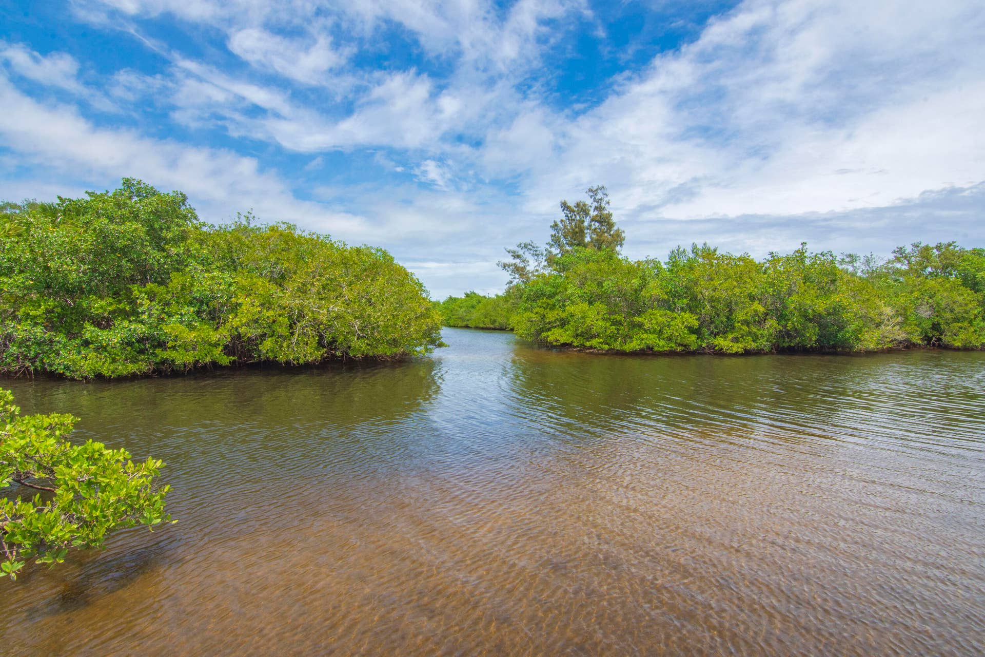 2800 Indian River Boulevard, #O-5, Vero Beach, FL 32960 Image00035