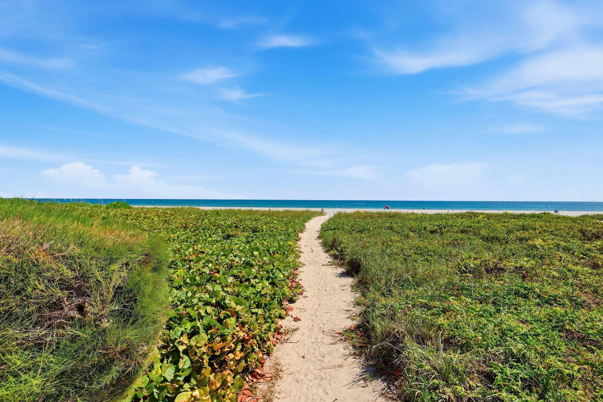Beach Access
