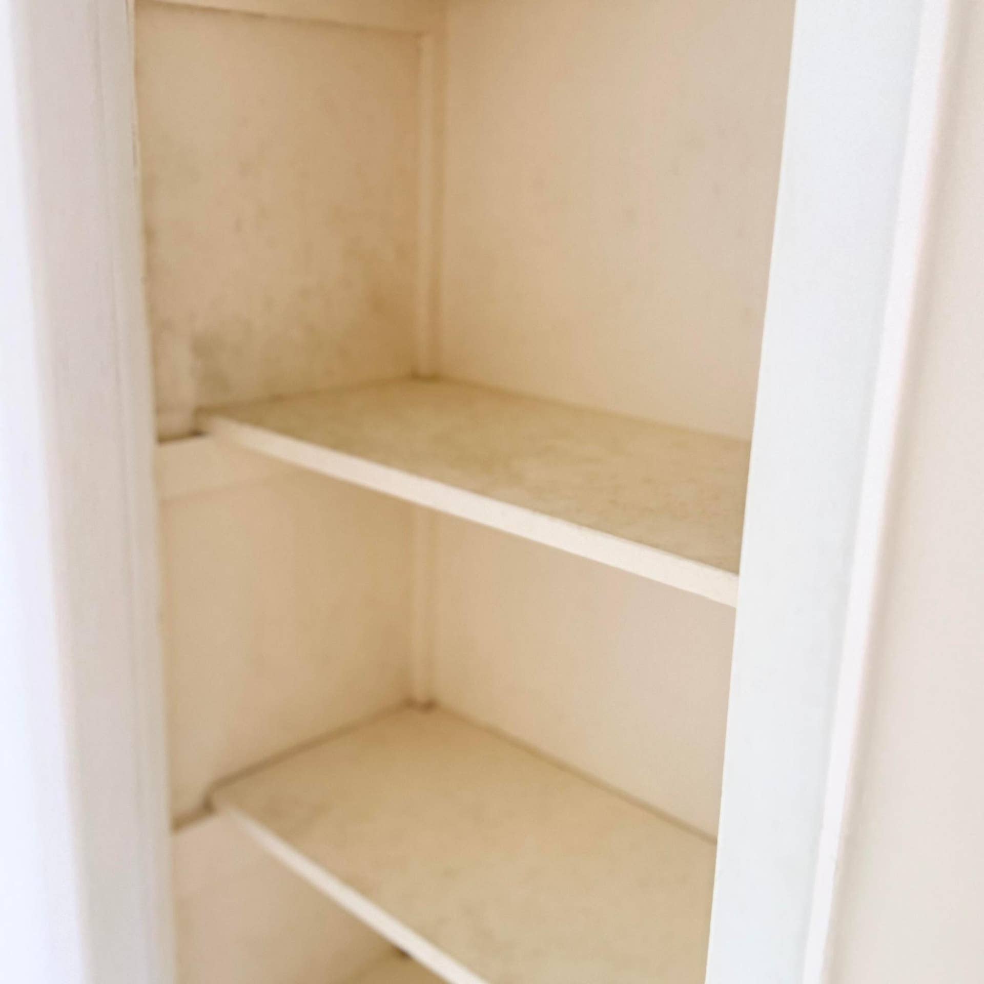 20 SE 13th Street, #Unit a2, Boca Raton, FL 33432 Bedroom Closet