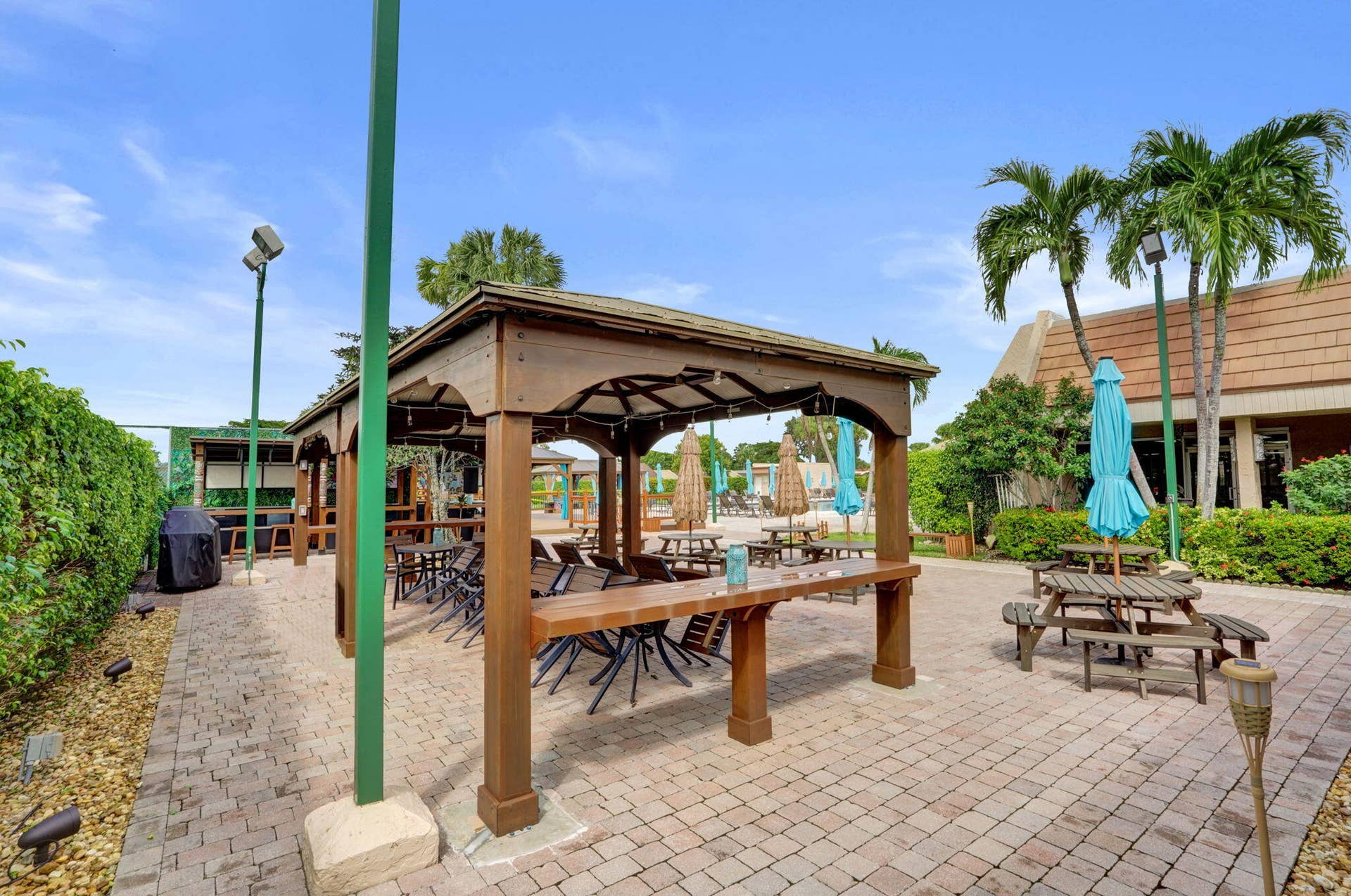 51-web-or-mls-DSC06360