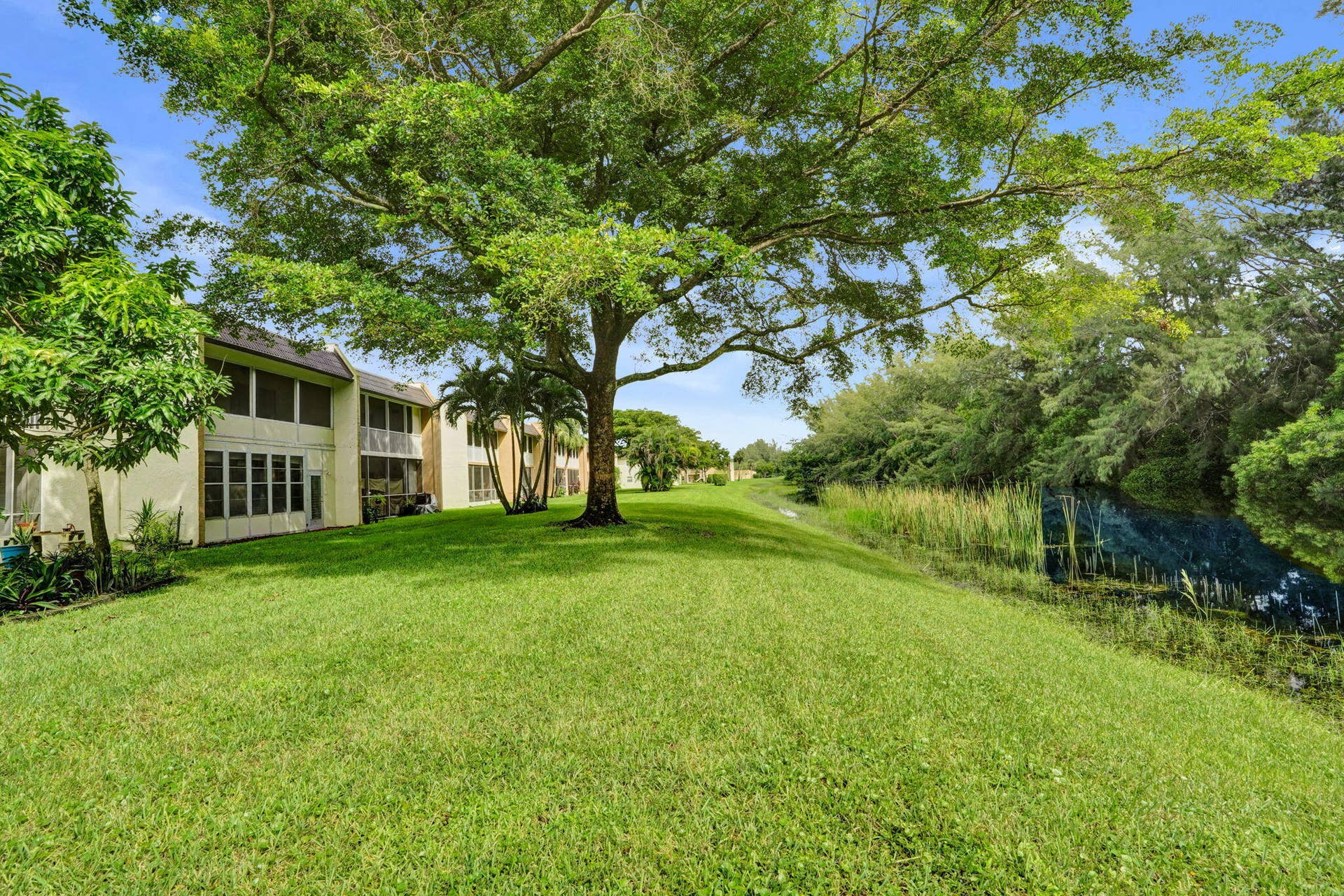 40-web-or-mls-DSC06327