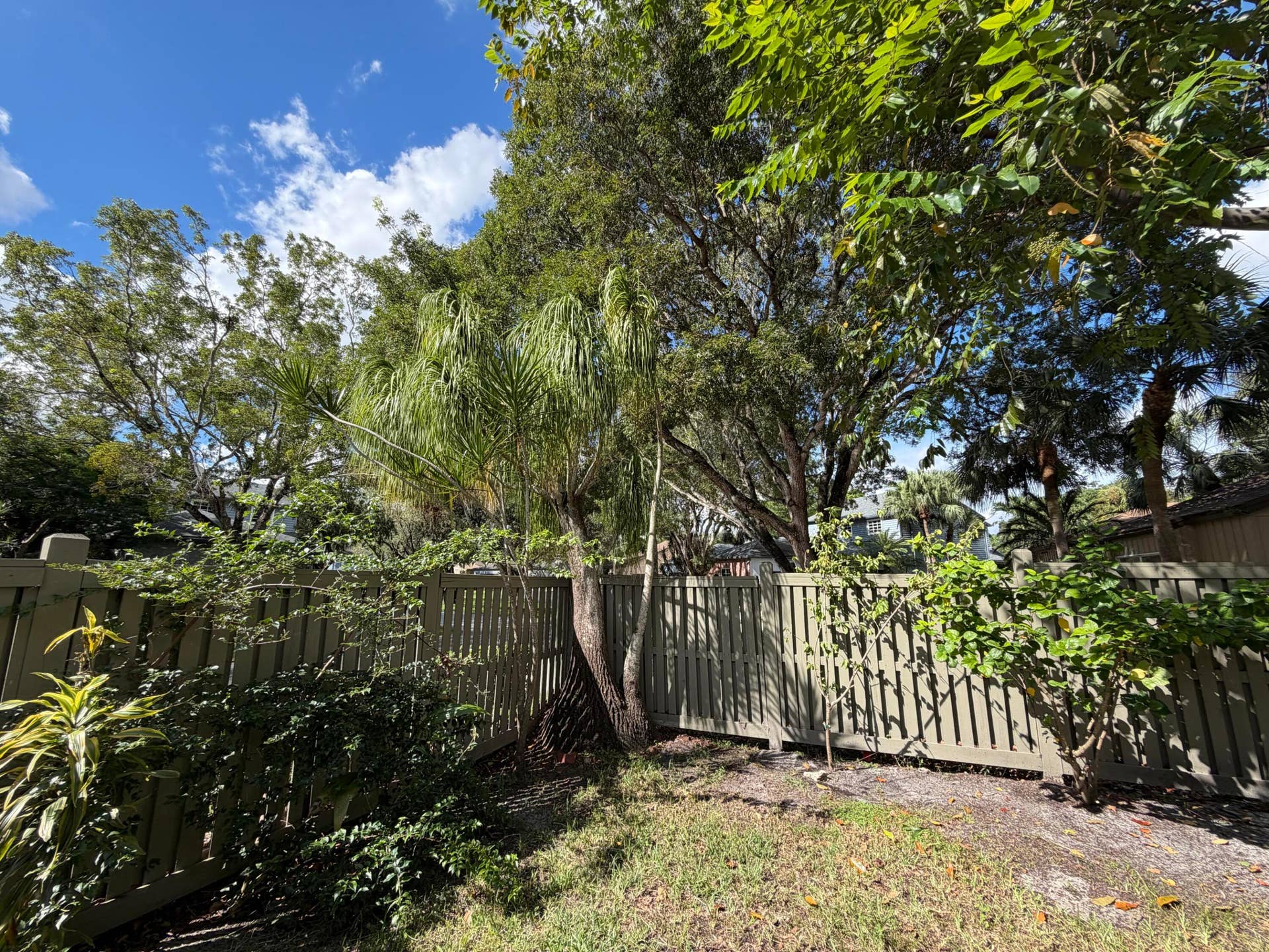 View From Screened Porch/ Patio