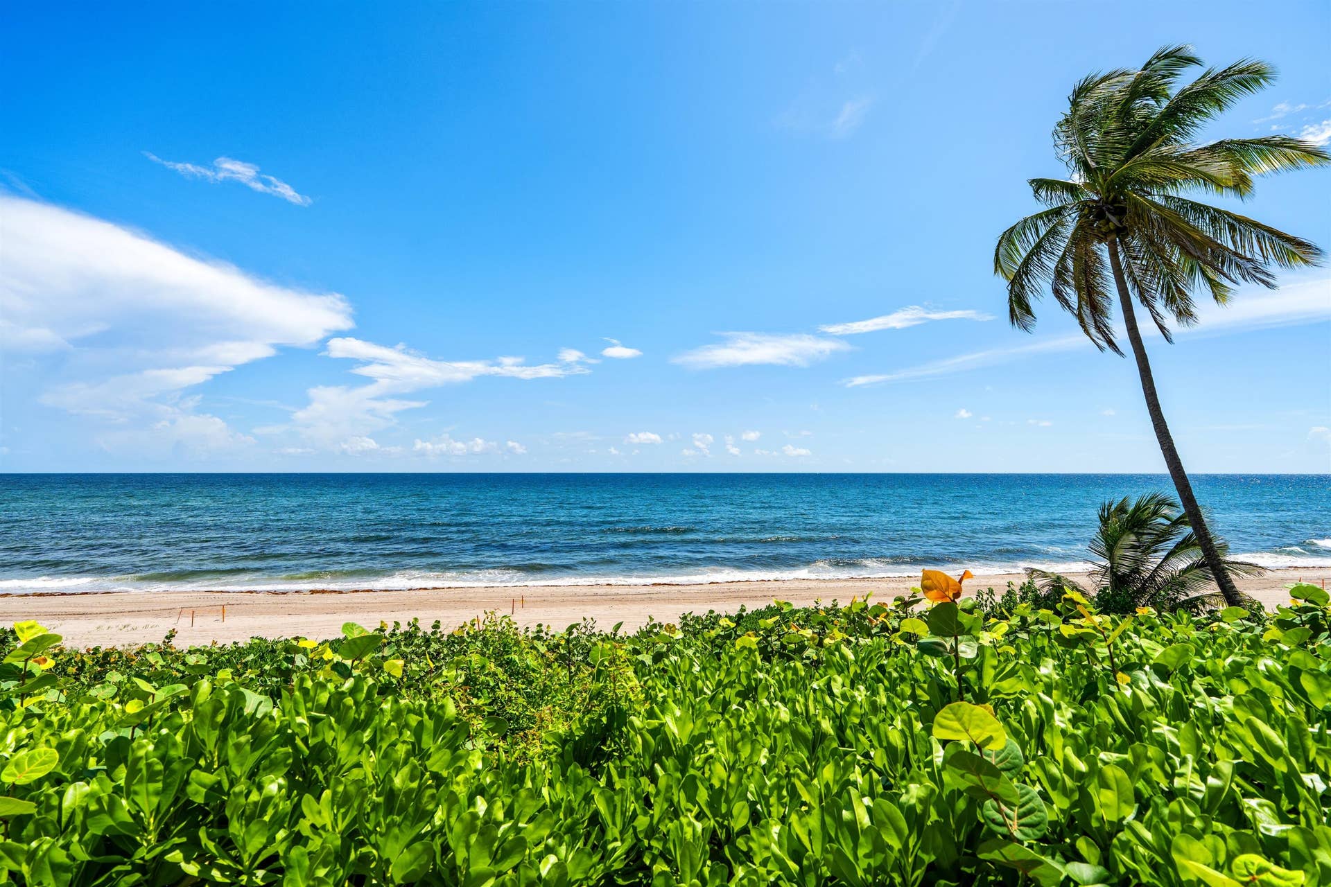 2000 N Ocean Boulevard, #103, Boca Raton, FL 33431 OCEAN VIEW