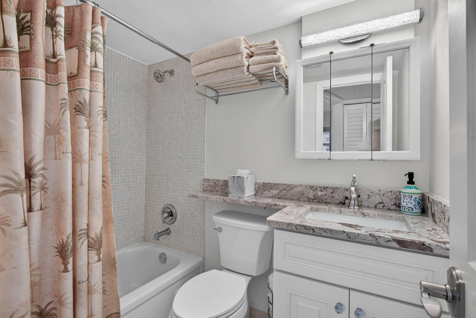 Guest bathroom