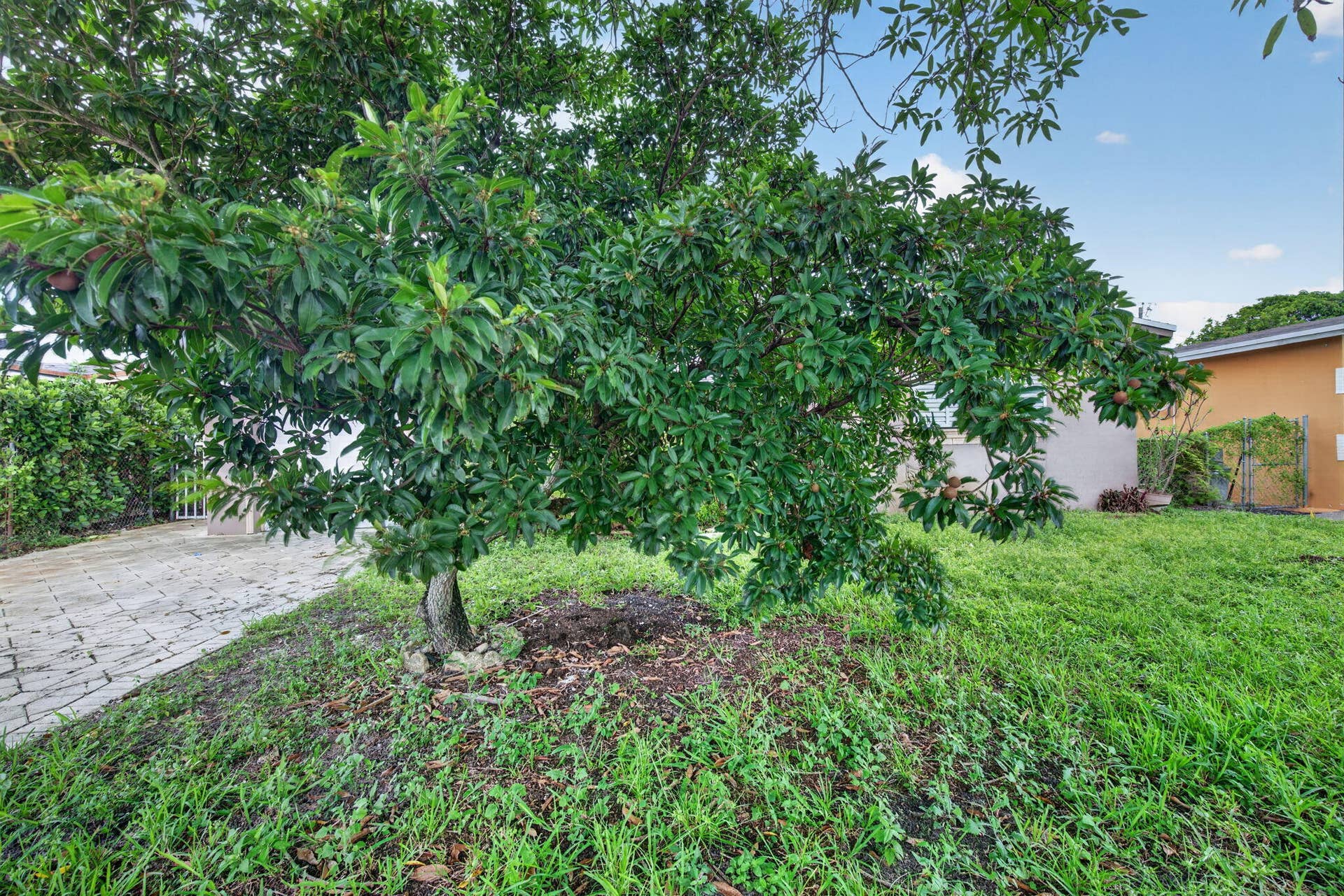 7761 BILTMORE Boulevard, Miramar, FL 33023 2-web-or-mls-_A7A0312