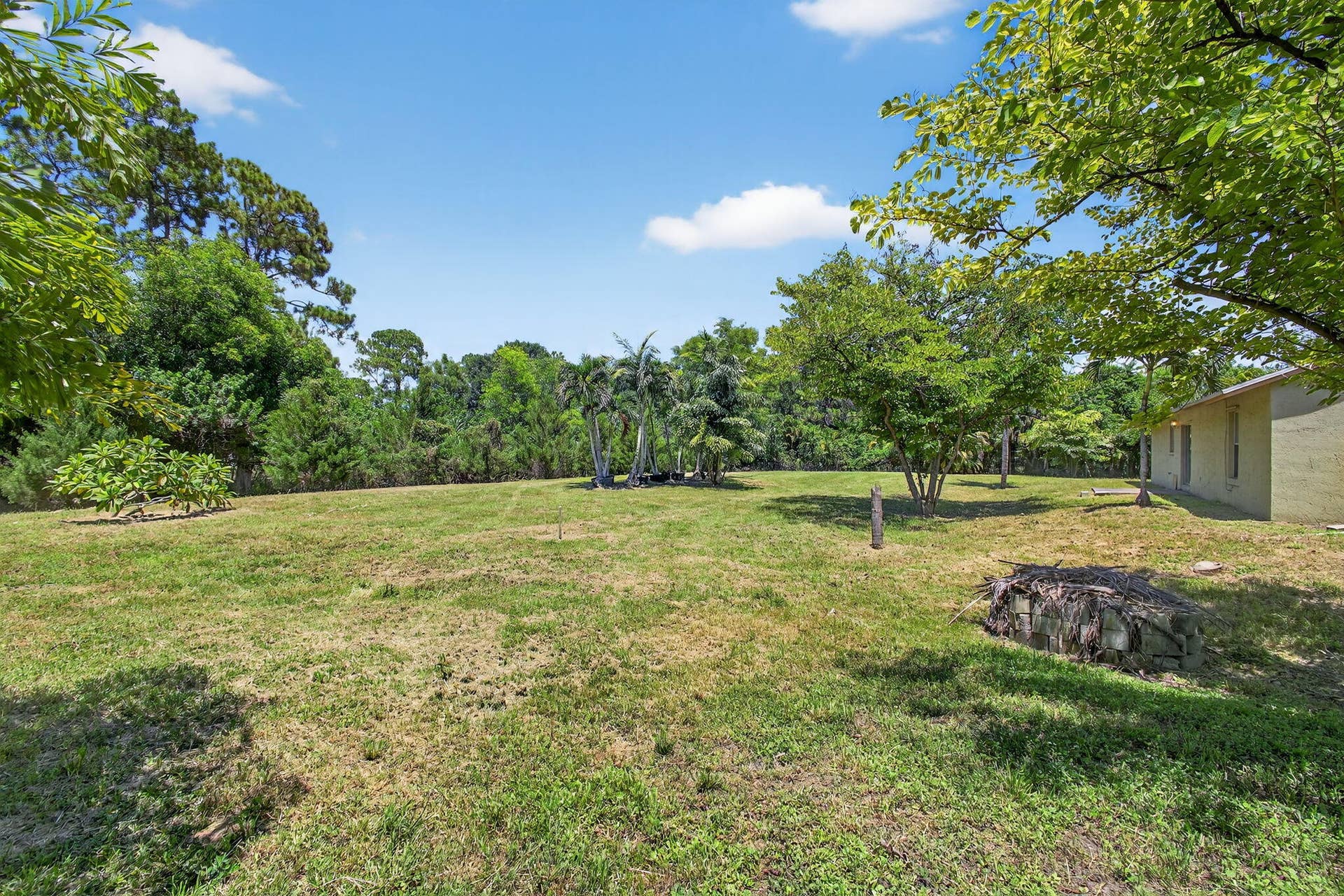 16971 W Mayfair Drive W, The Acreage, FL 33470 46-web-or-mls-BS1A1916