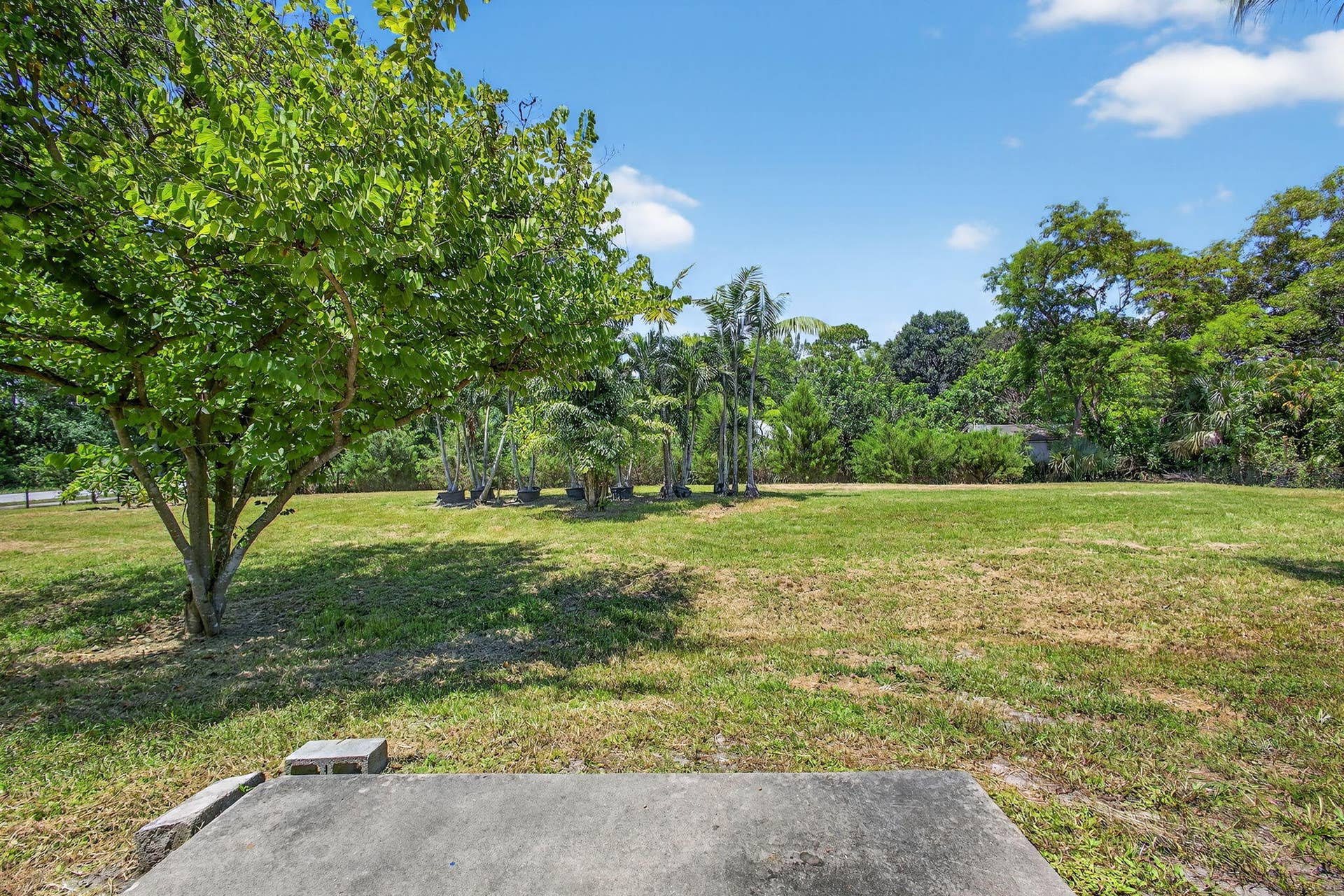 16971 W Mayfair Drive W, The Acreage, FL 33470 38-web-or-mls-BS1A1876