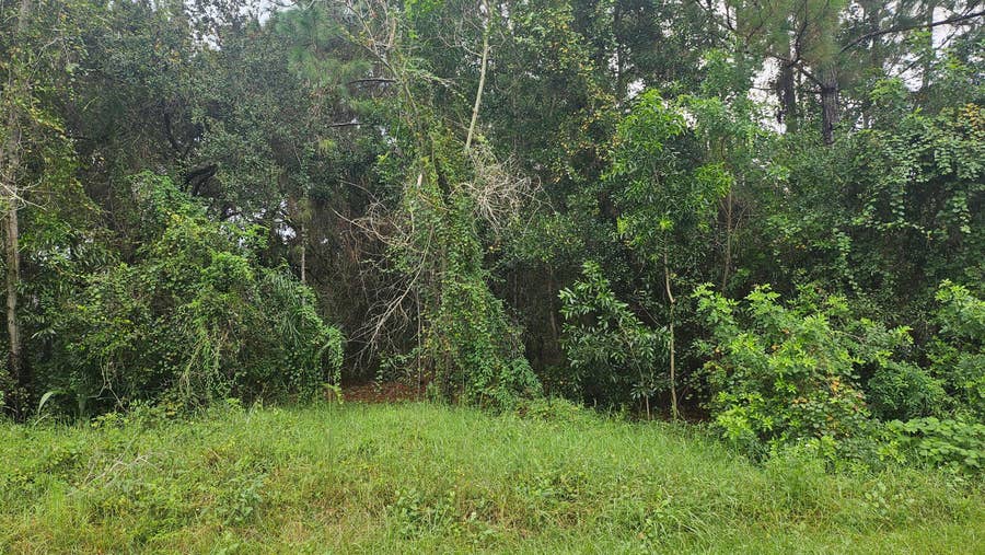 Property photo for 5439 NW Thyer Circle, Port St Lucie, FL