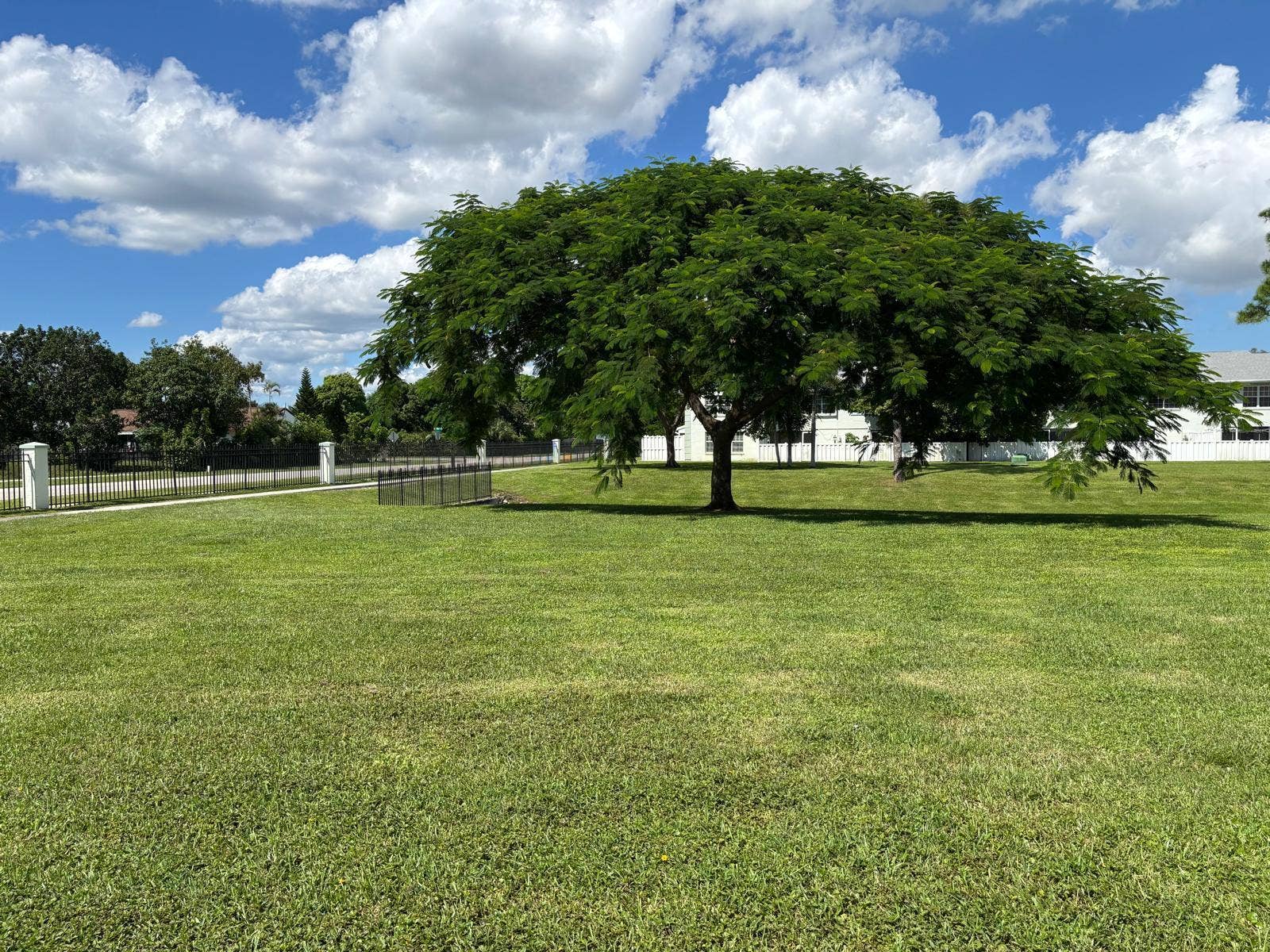 3676 ALDER Drive, #E1, West Palm Beach, West Palm Beach, FL 33417 View from livingroom
