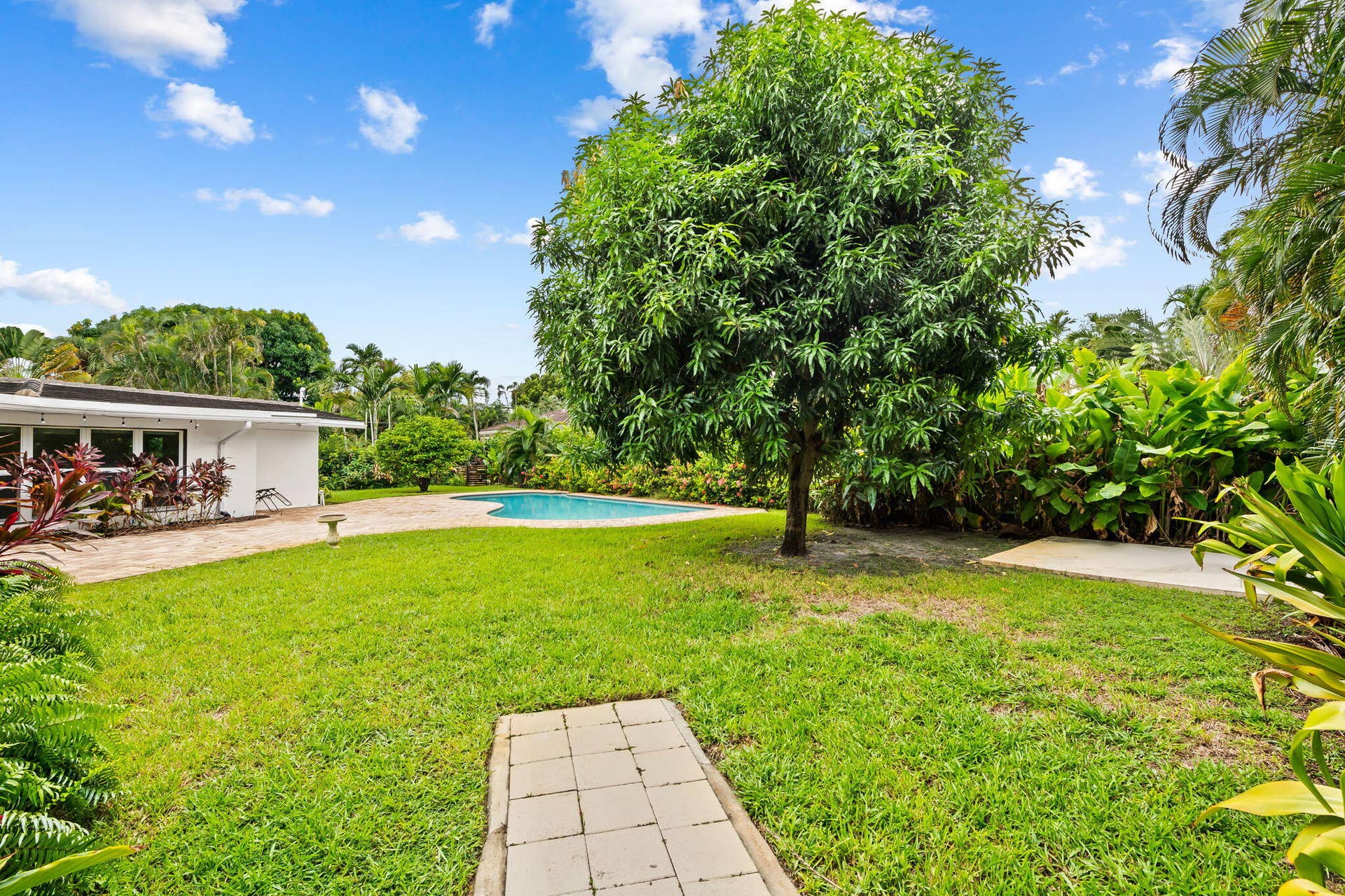 1705 NE 26TH Avenue, Fort Lauderdale, FL 33305 Expansive backyard featuring a large tree, inground swimming pool, paver patio, lush landscaping, and a white exterior home