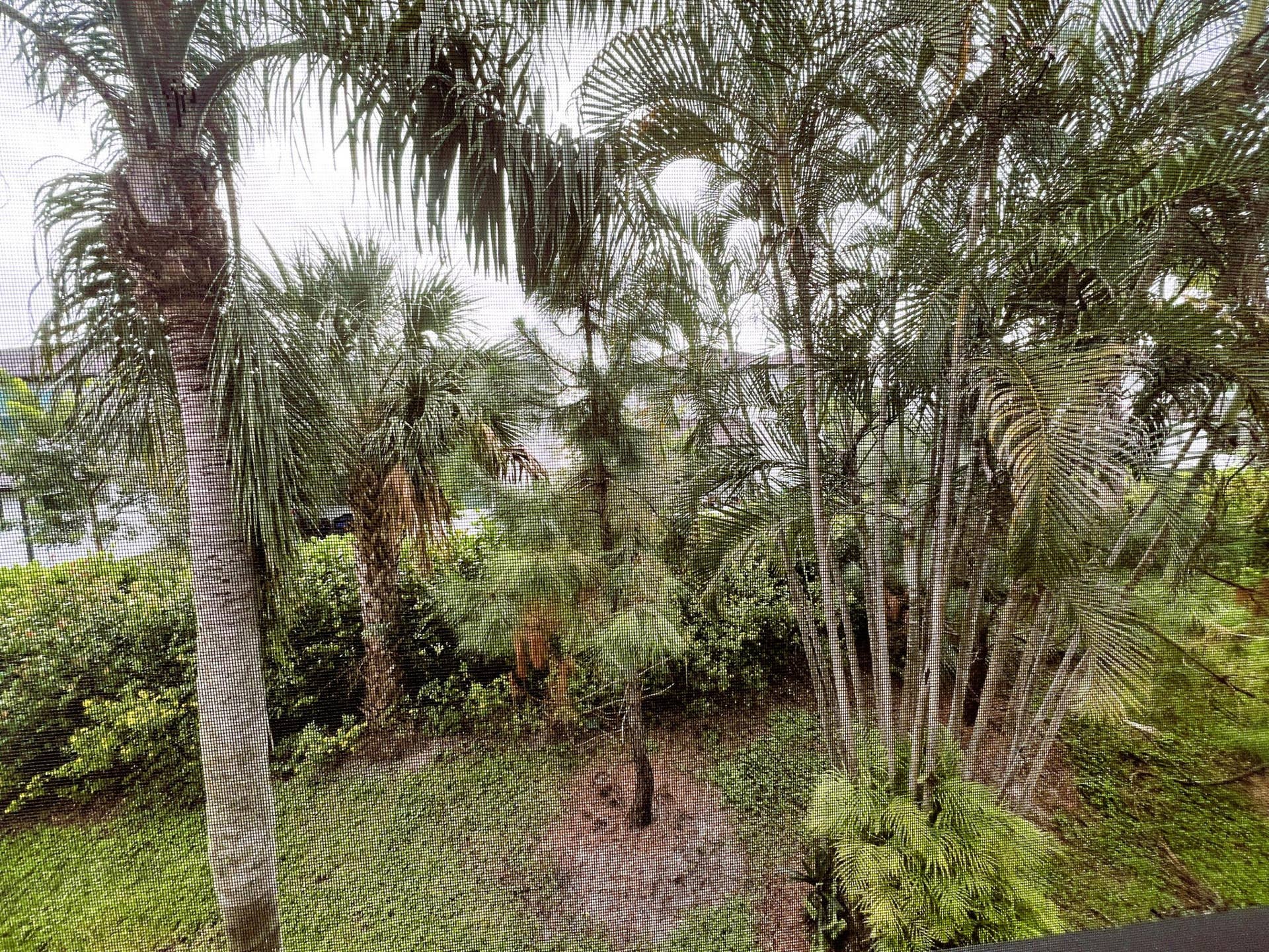 7245 Golf Colony Court, #203, Lake Worth, FL 33467 SERENE VIEW