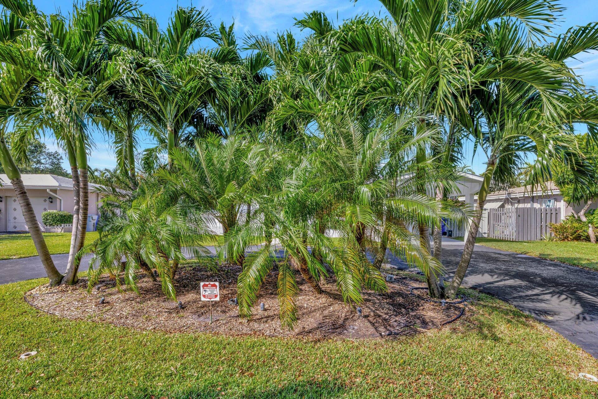 613 NE 25TH Avenue, Pompano Beach, FL 33062 3-web-or-mls-699A3575