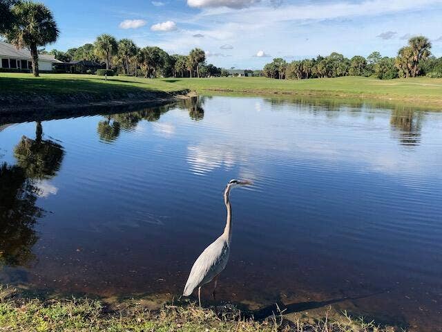 Property photo for 4225 Gator Trace Avenue, Fort Pierce, FL