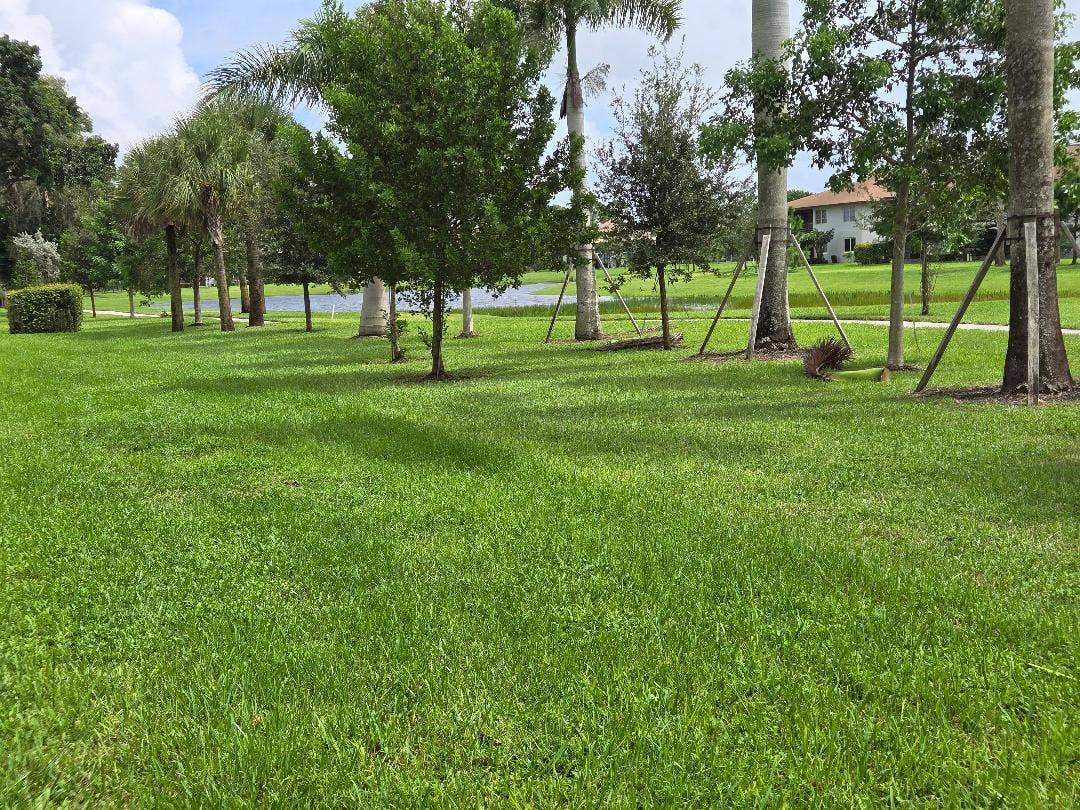 5700 Queen Palm Court, #B, Delray Beach, FL 33484 Rear View