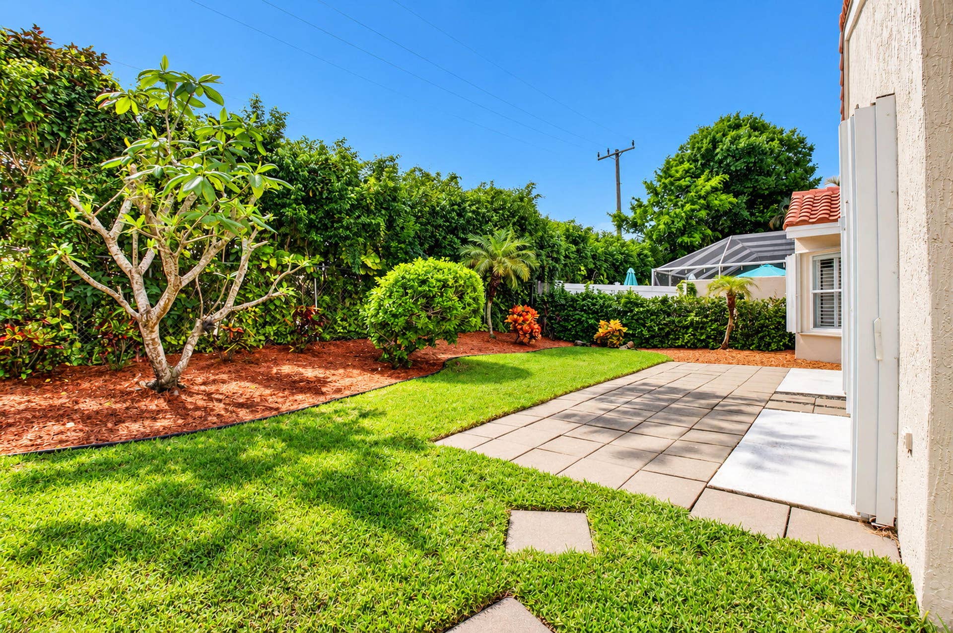 35-web-or-mls-DSC_1644_sunny