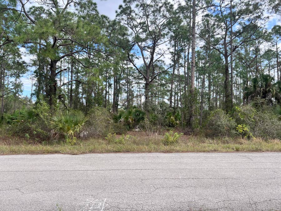 Property photo for 1610 Desoto Avenue, Lehigh Acres, FL