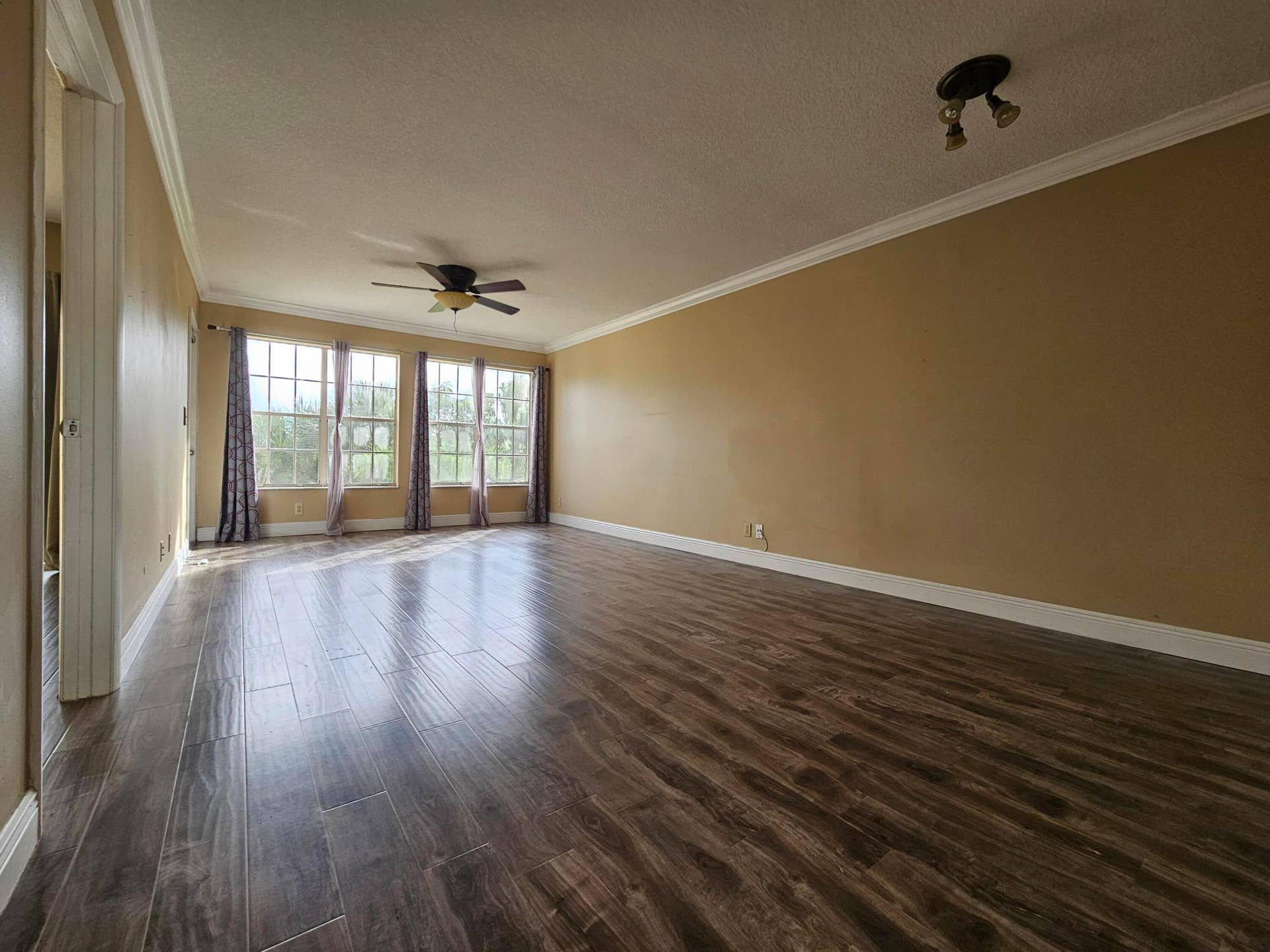 Living room & Dining room area