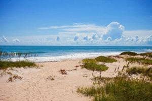 5151 N Hwy A1a, #713, Hutchinson Island, FL 34949 20220617200259605545000000