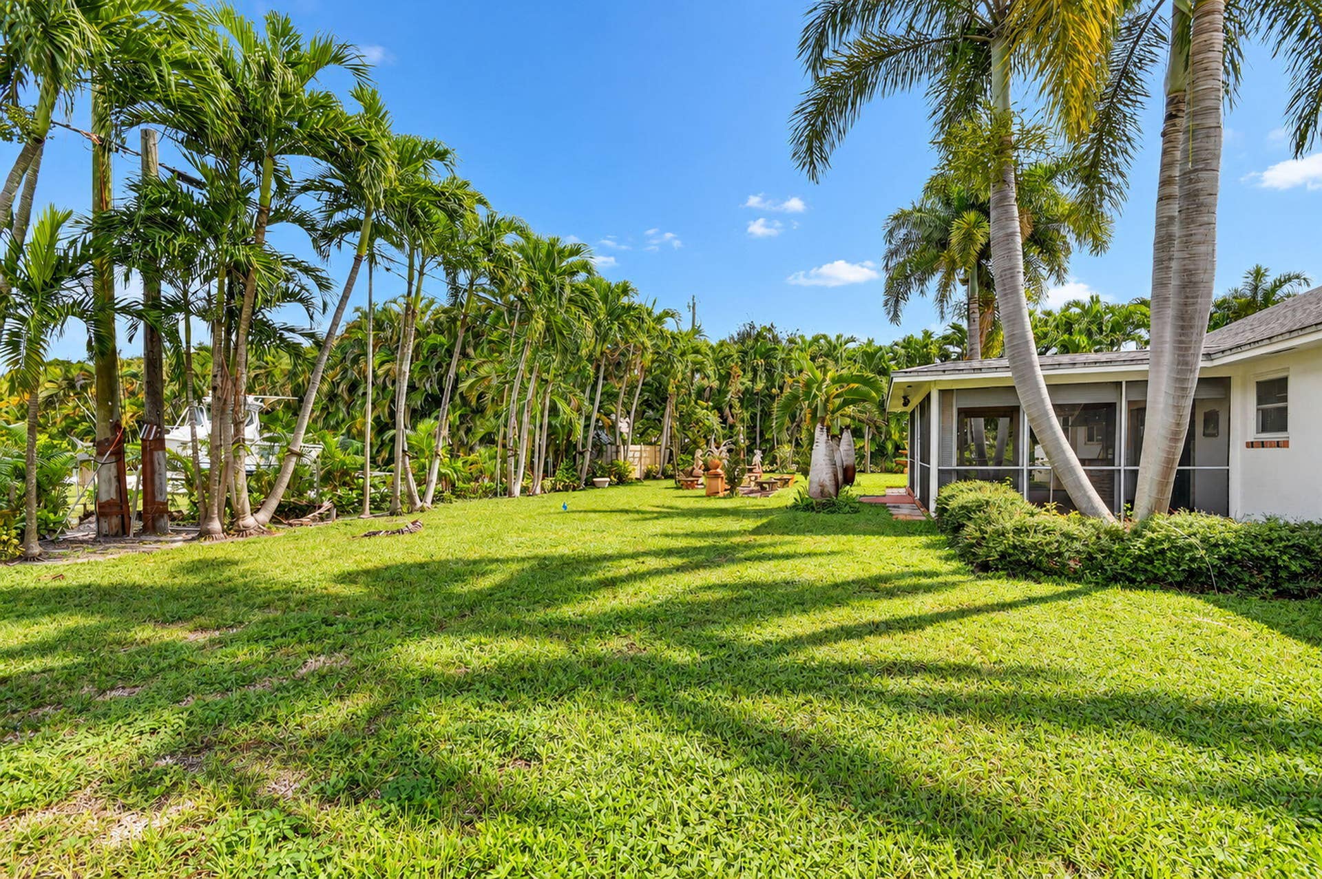 Expansive lawn area featuring numerous mature palm trees and a screened-in patio