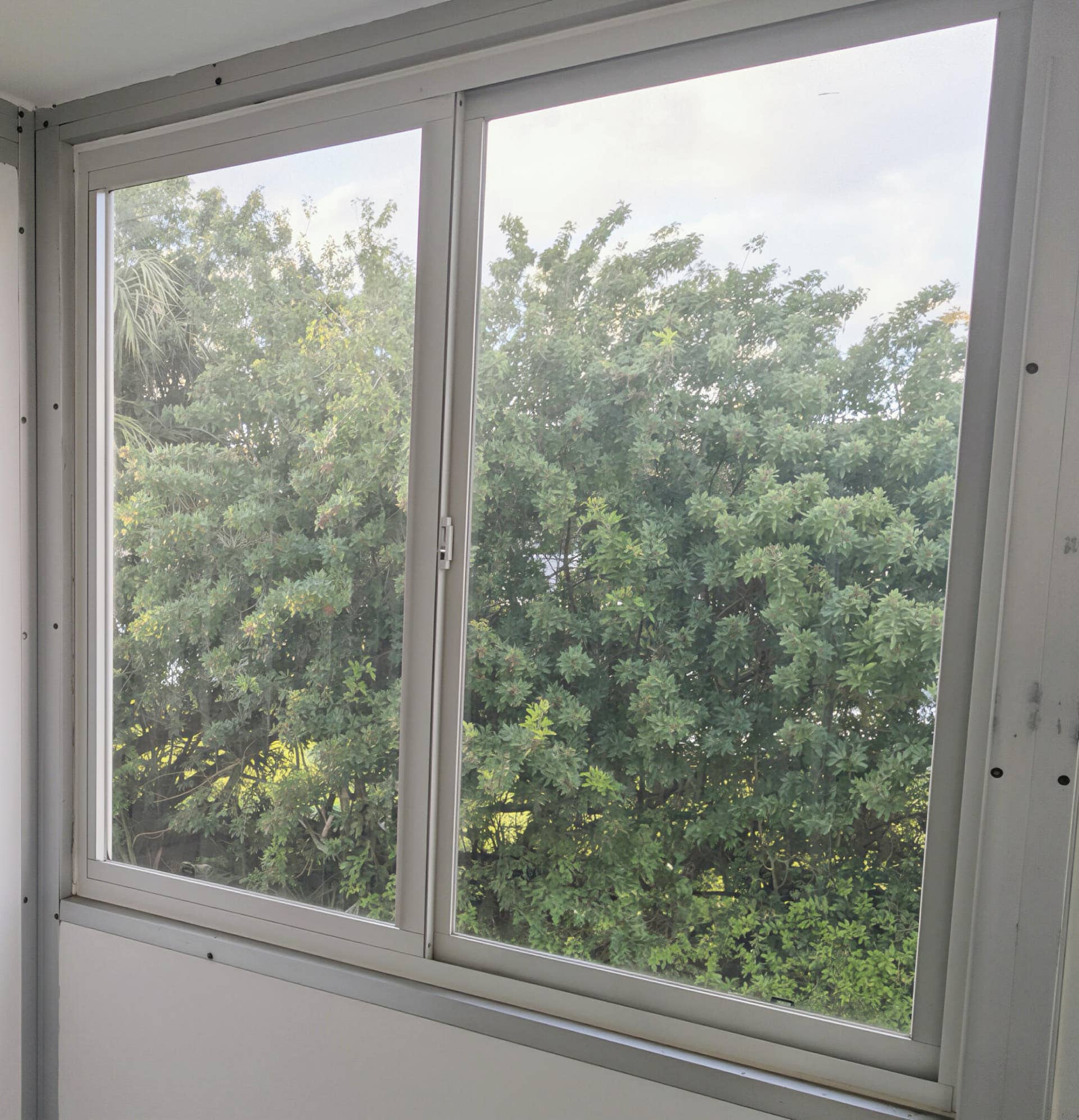Large Impact Windows with Scenic Views