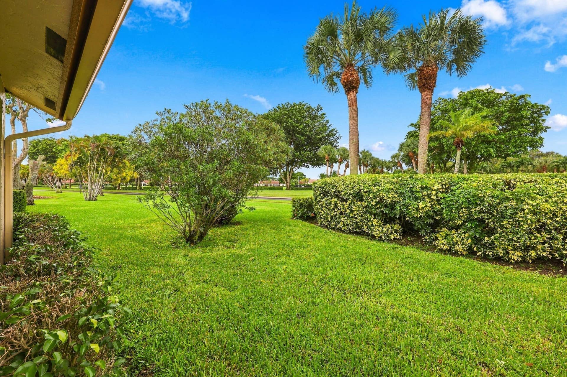 8292 Waterline Drive, #106, Boynton Beach, FL 33472 Expansive lawn area featuring mature palm trees and manicured hedges