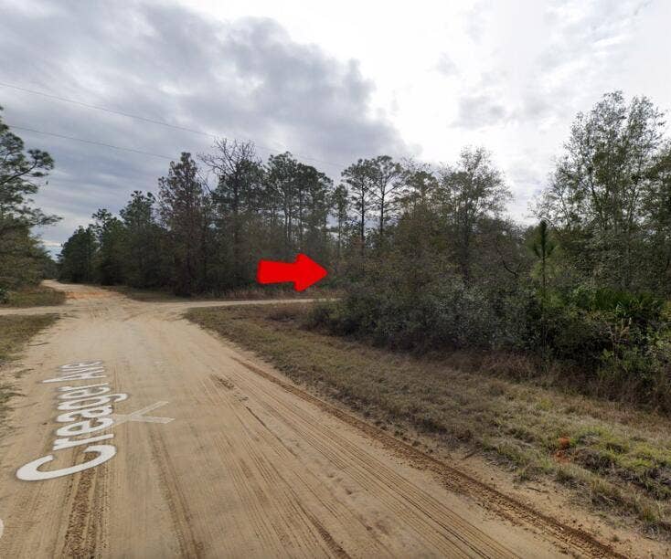 Property photo for 000 Creager Avenue, Interlachen, FL