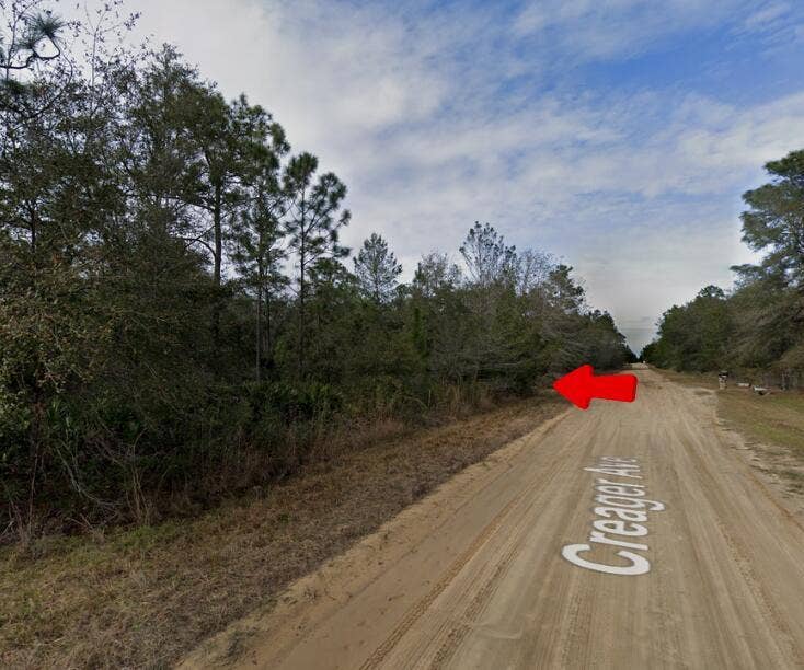 Property photo for 005 Creager Avenue, Interlachen, FL