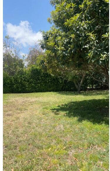 477 NE 35TH Street, Boca Raton, Boca Raton, FL 33431 Large yard