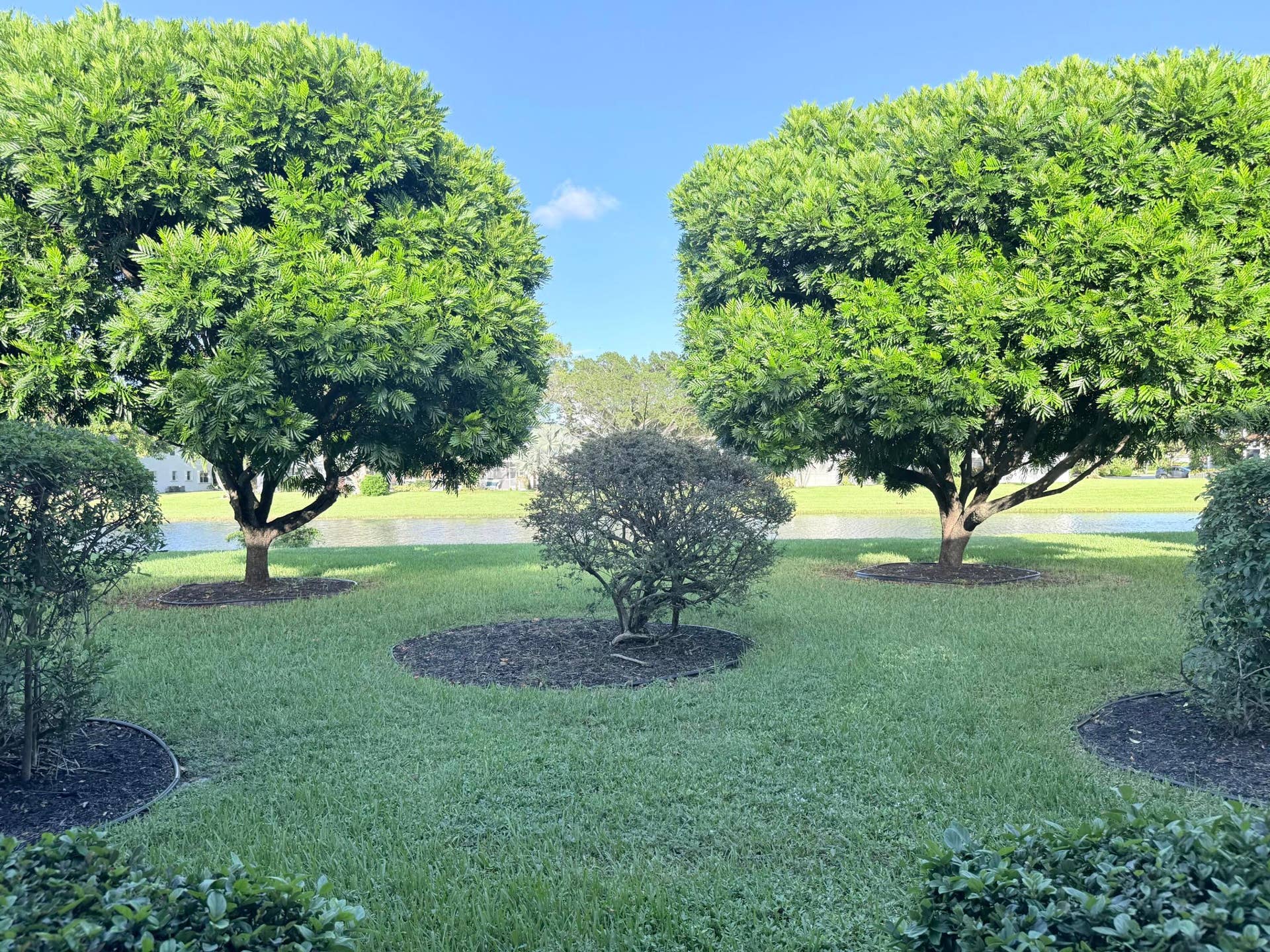 43 TILFORD C, Deerfield Beach, FL 33442 IMG_2409