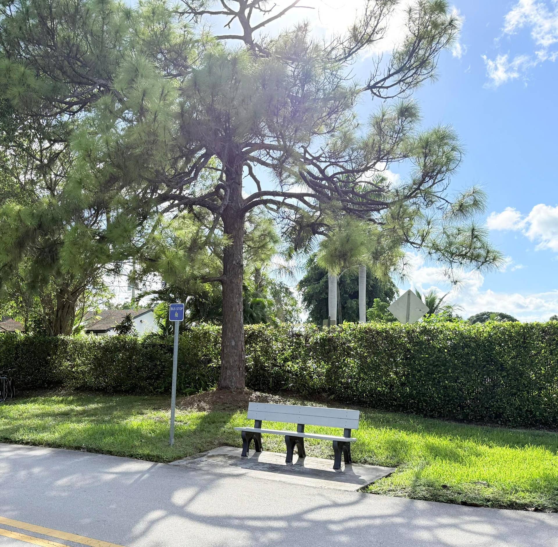 43 TILFORD C, Deerfield Beach, FL 33442 IMG_2390