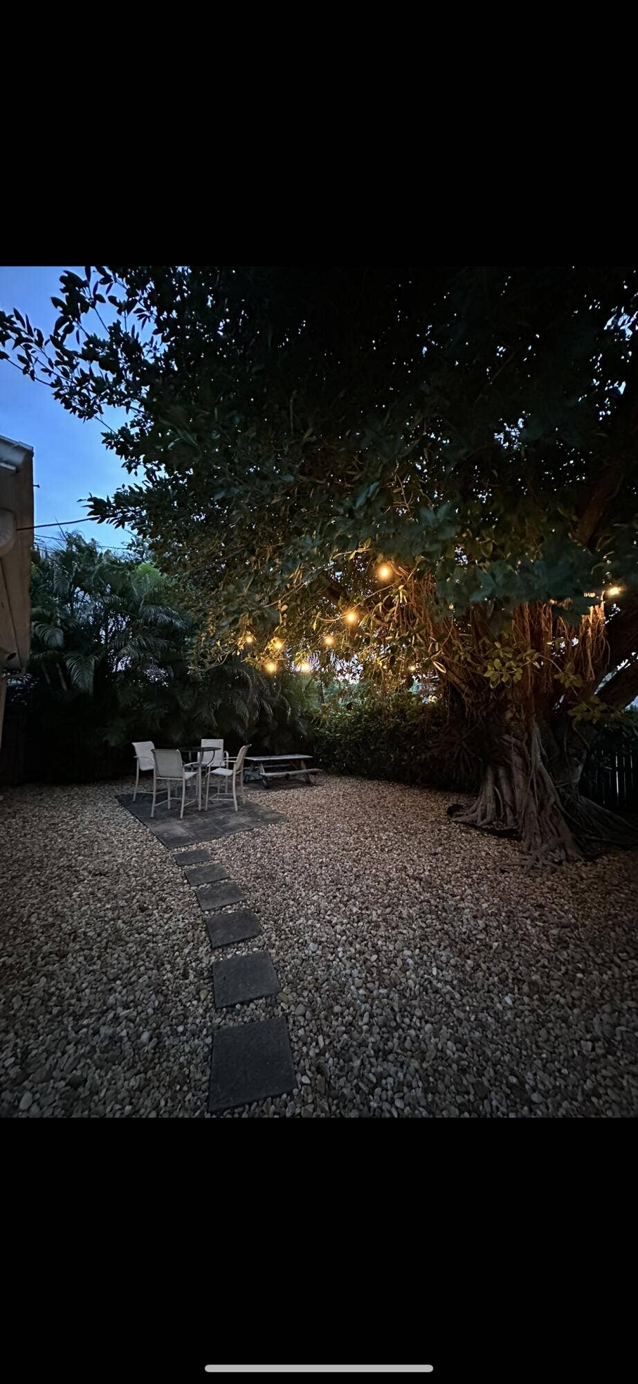 2703 NE 6TH Lane, Wilton Manors, FL 33334 IMG_7901 2