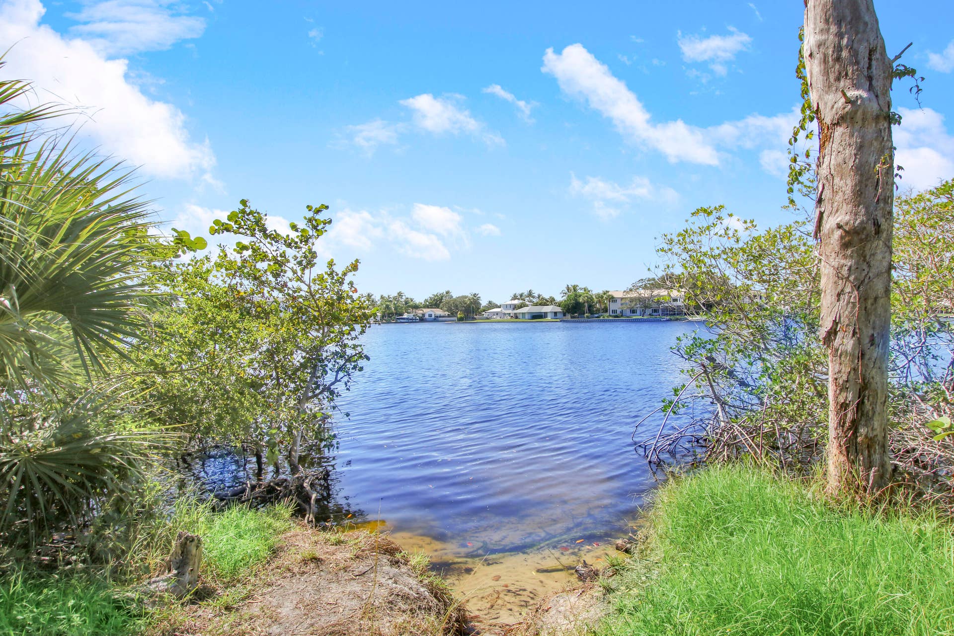 Nature Preserve