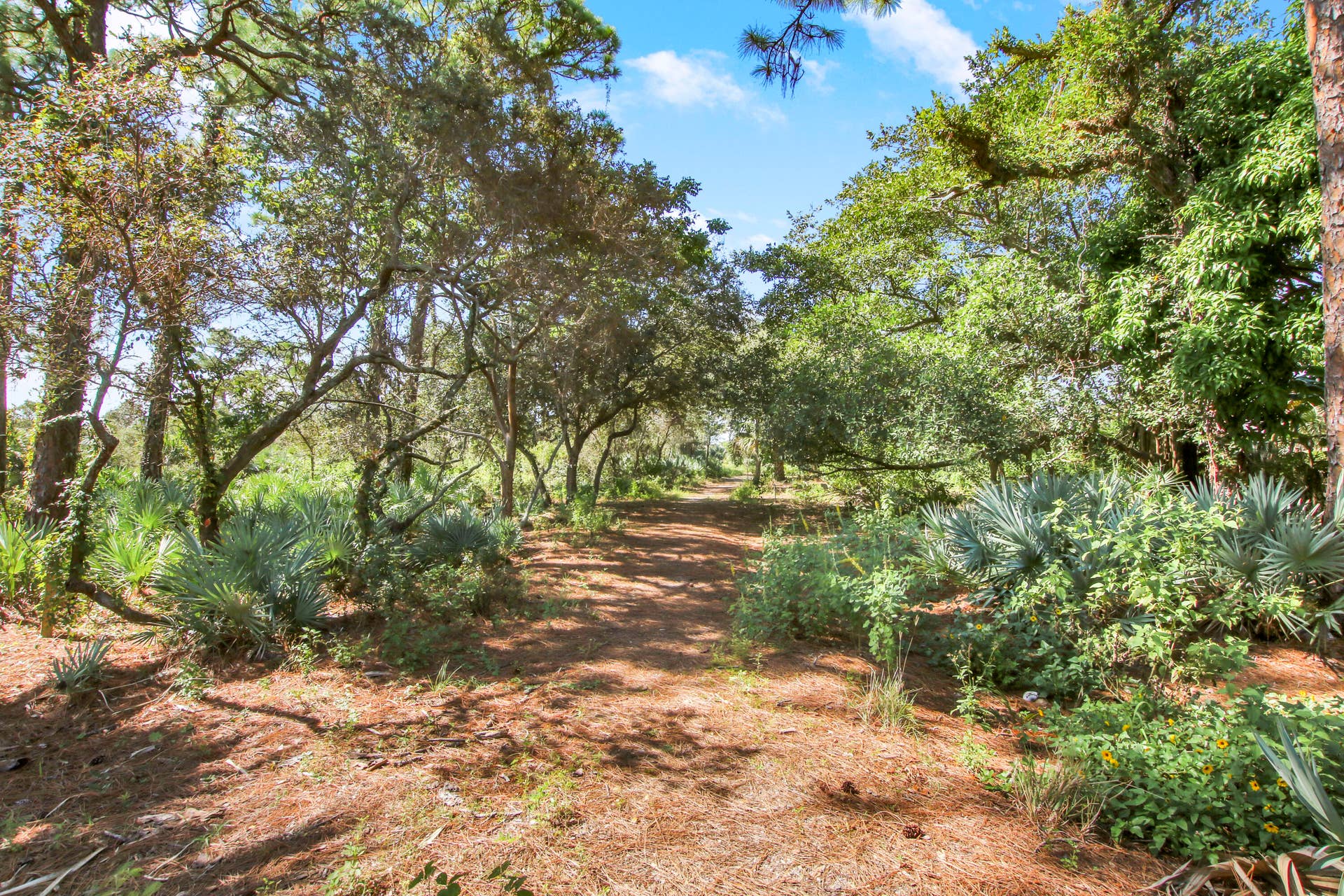 Nature Preserve