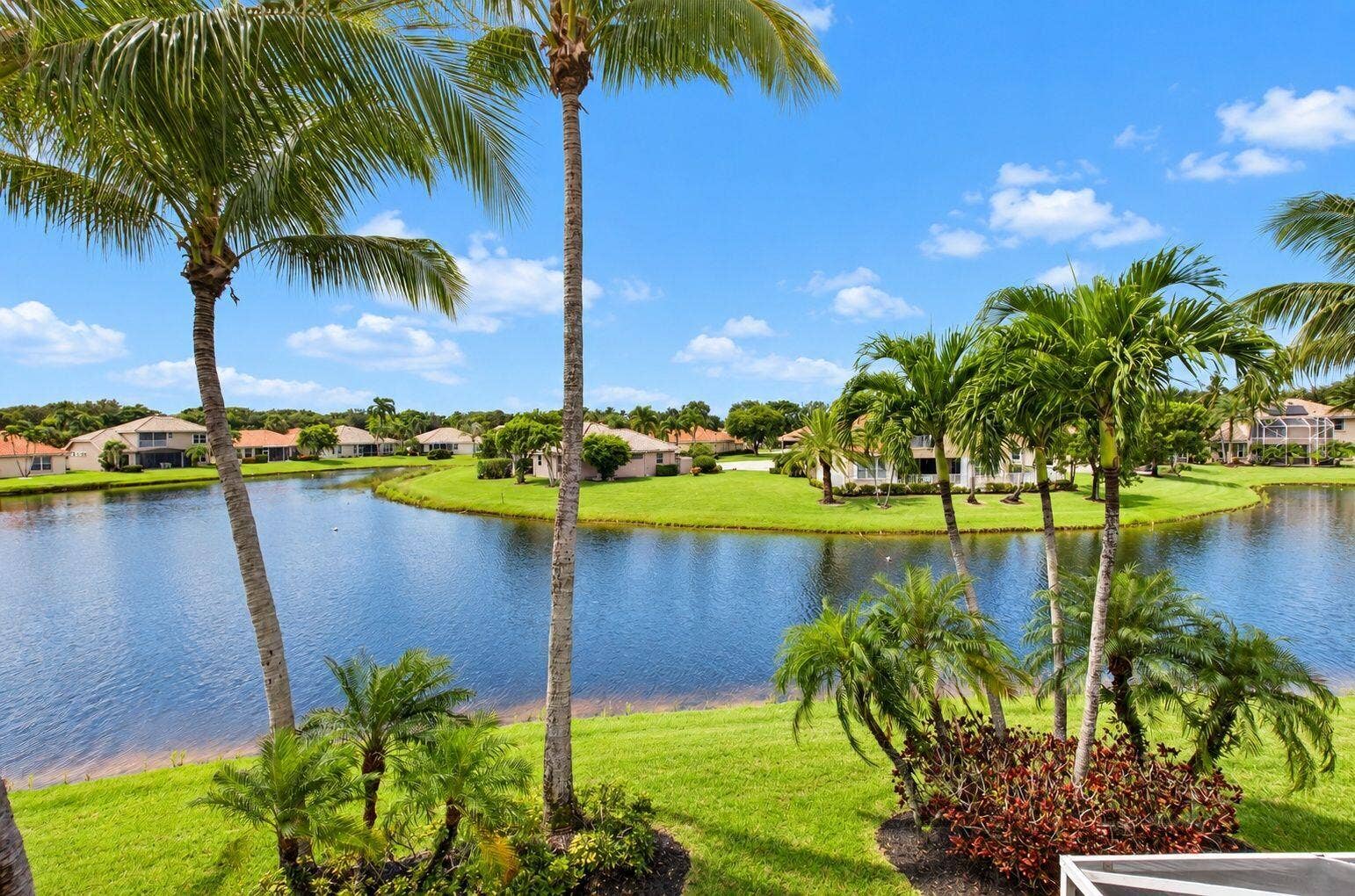 6610 Aston Lane, Boynton Beach, FL 33437 Lush tropical landscaping with multiple palm trees