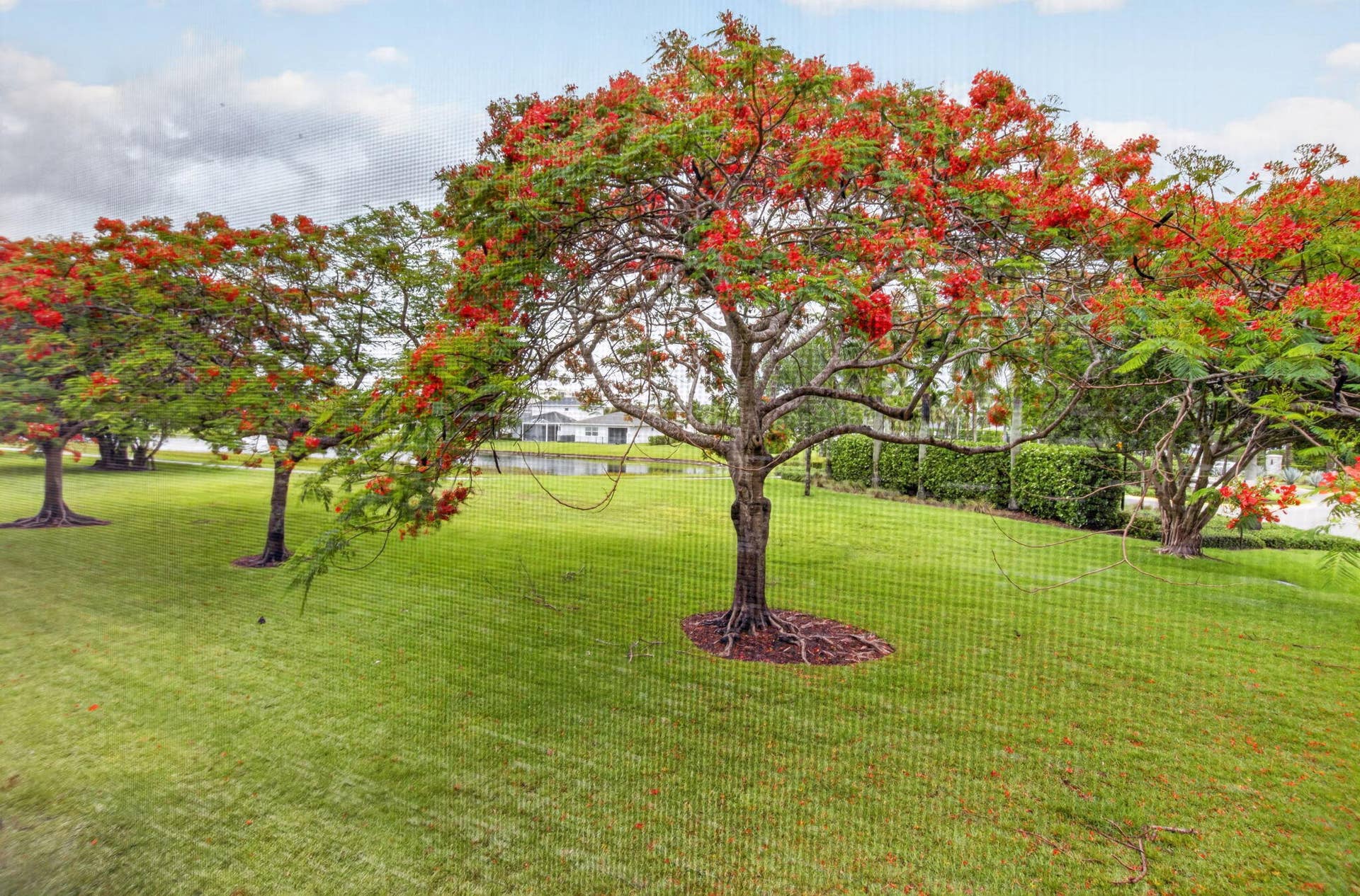 14701 Cumberland Drive, #2080, Delray Beach, FL 33446 26-web-or-mls-DSC_7684