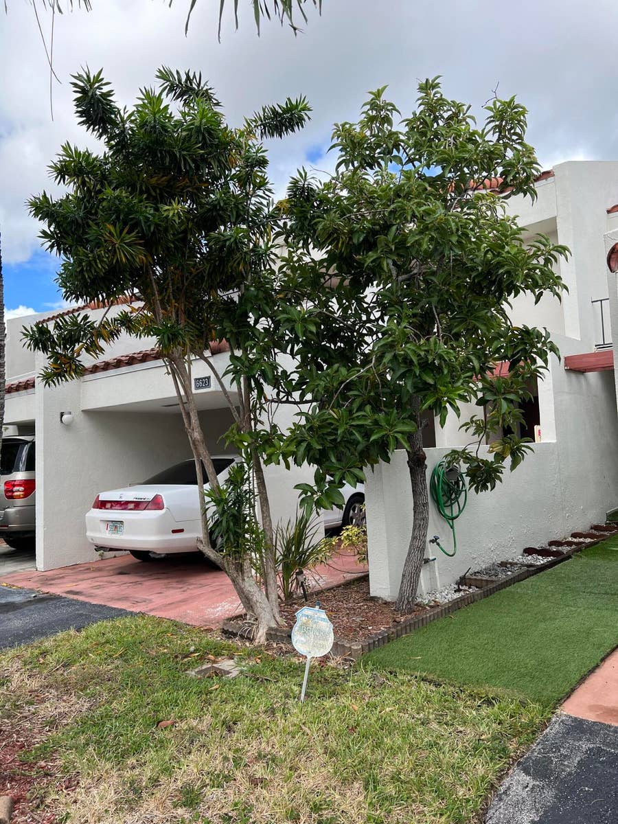 Property photo for 6625 RACQUET CLUB Drive, #155, Lauderhill, FL