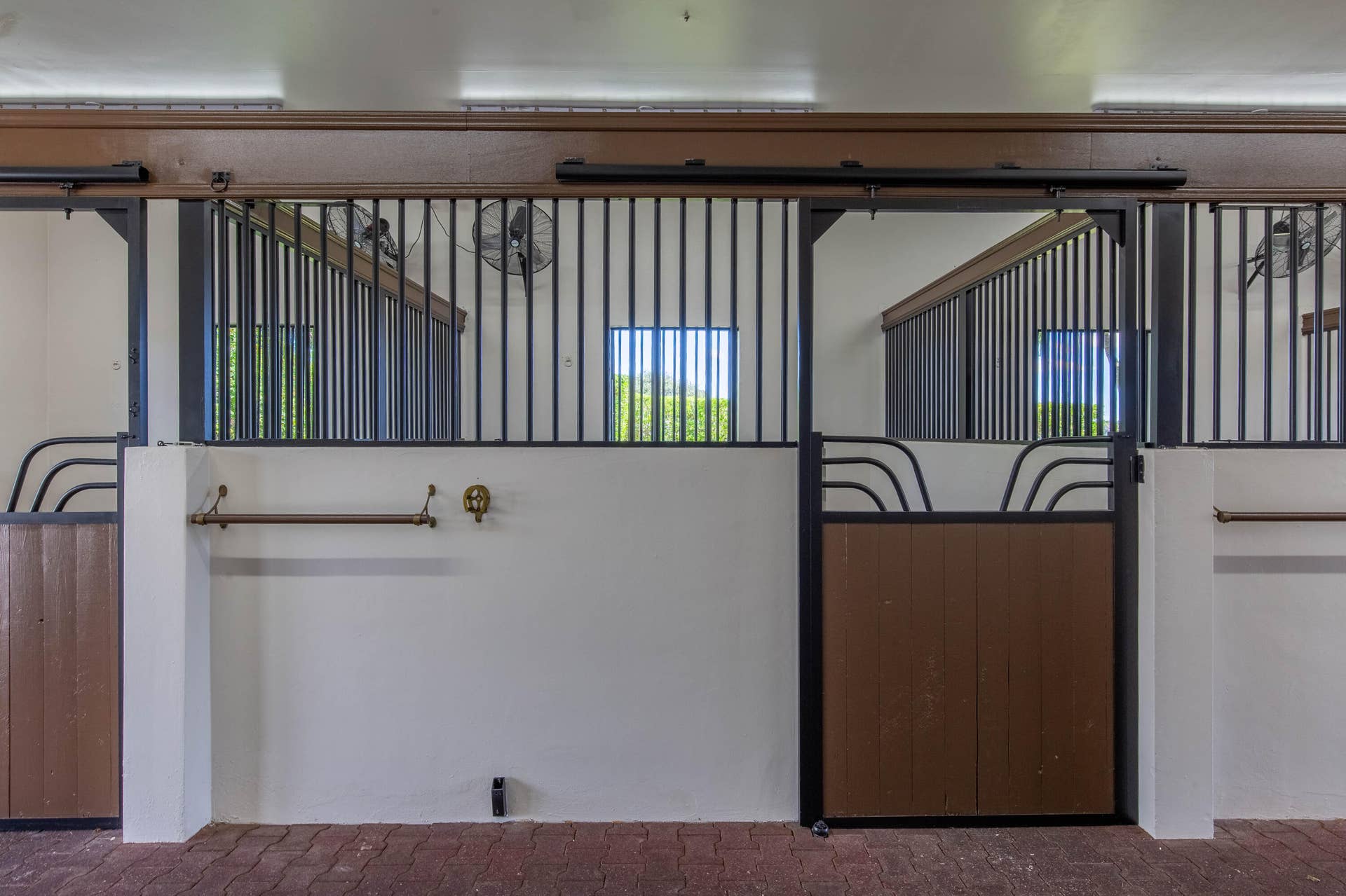 43