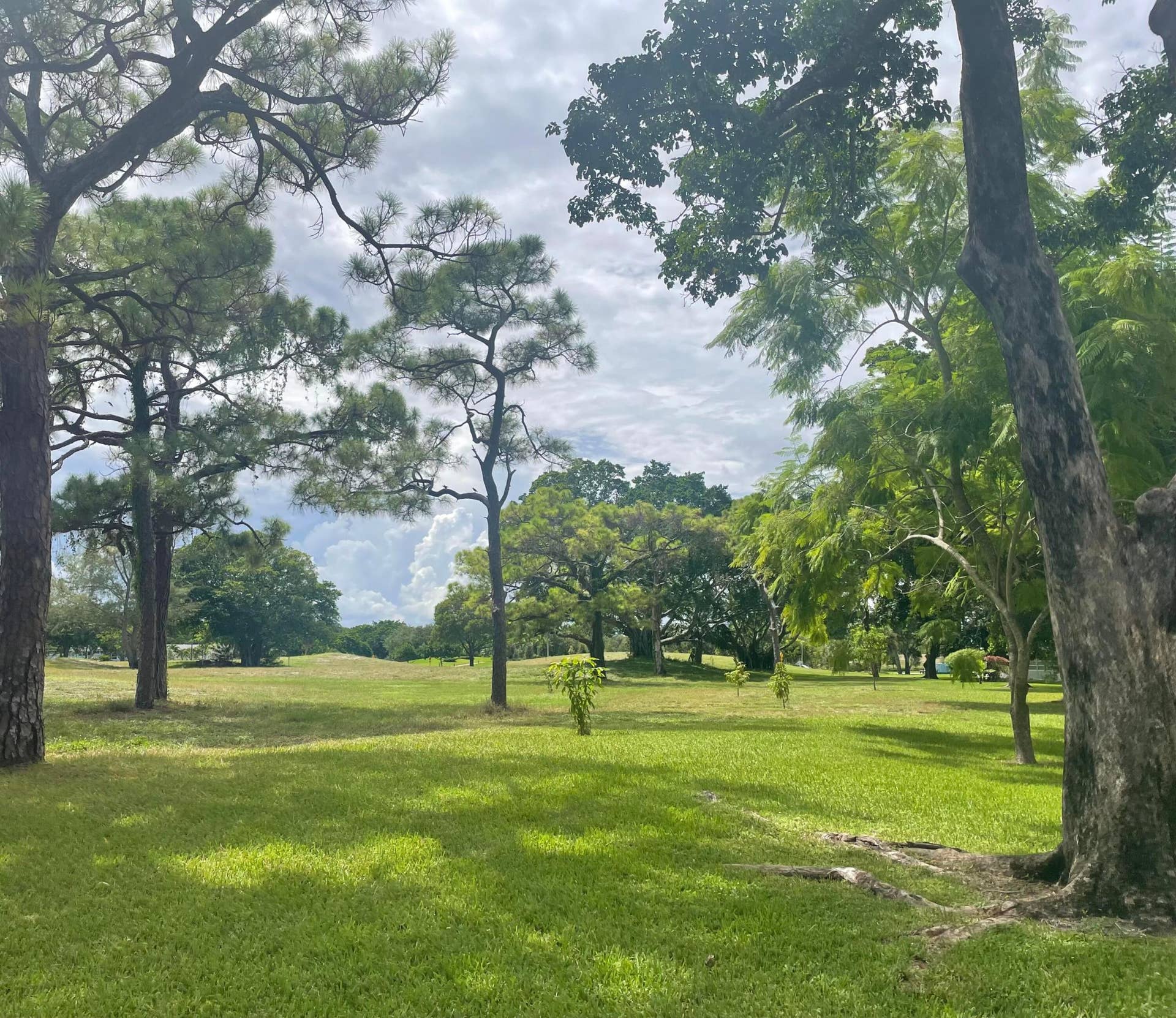 Lovely Garden View