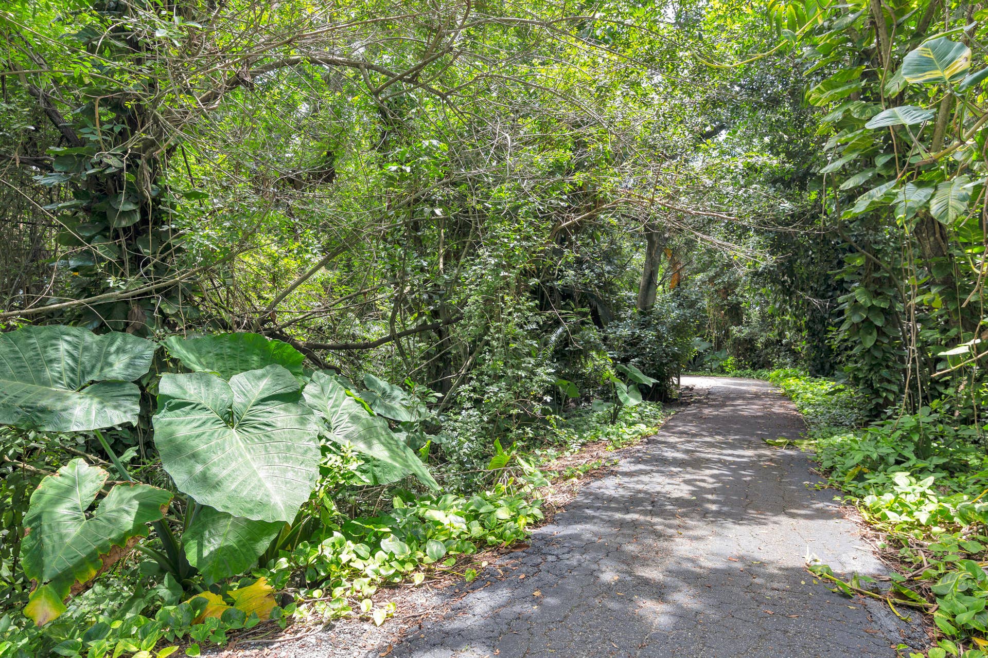 1008 GREEN PINE Boulevard, #H3, West Palm Beach, West Palm Beach, FL 33409 low-20 (2)
