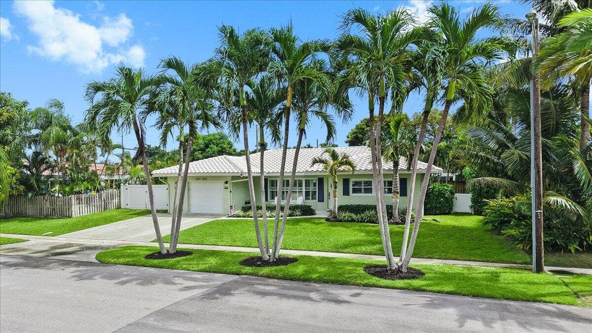 Palm-Lined Front Yard