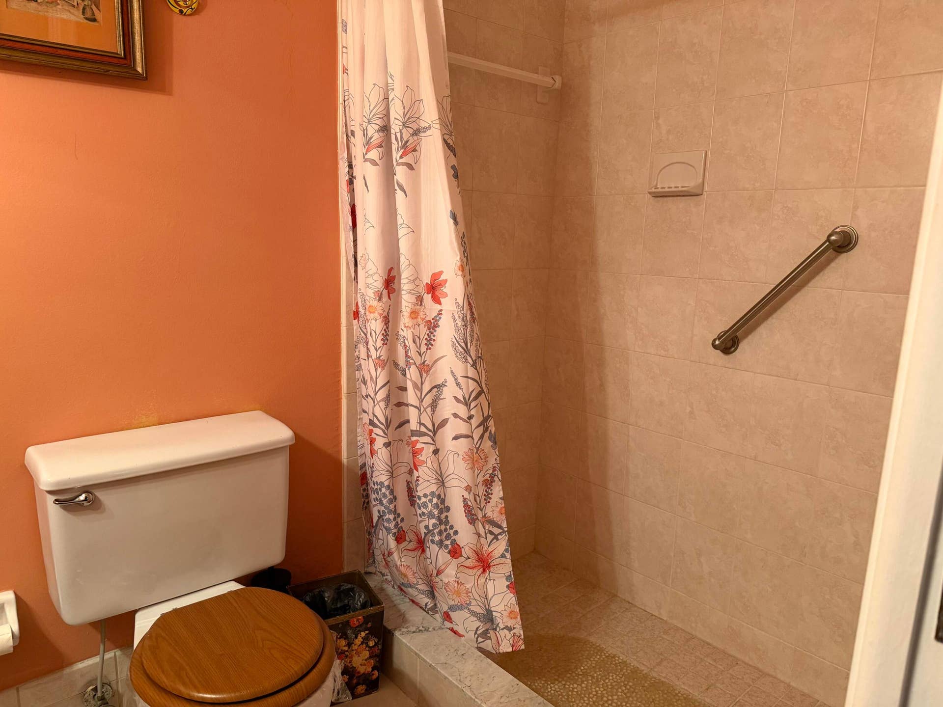 2nd bath Step in shower -equipped with ADA shower grab bar