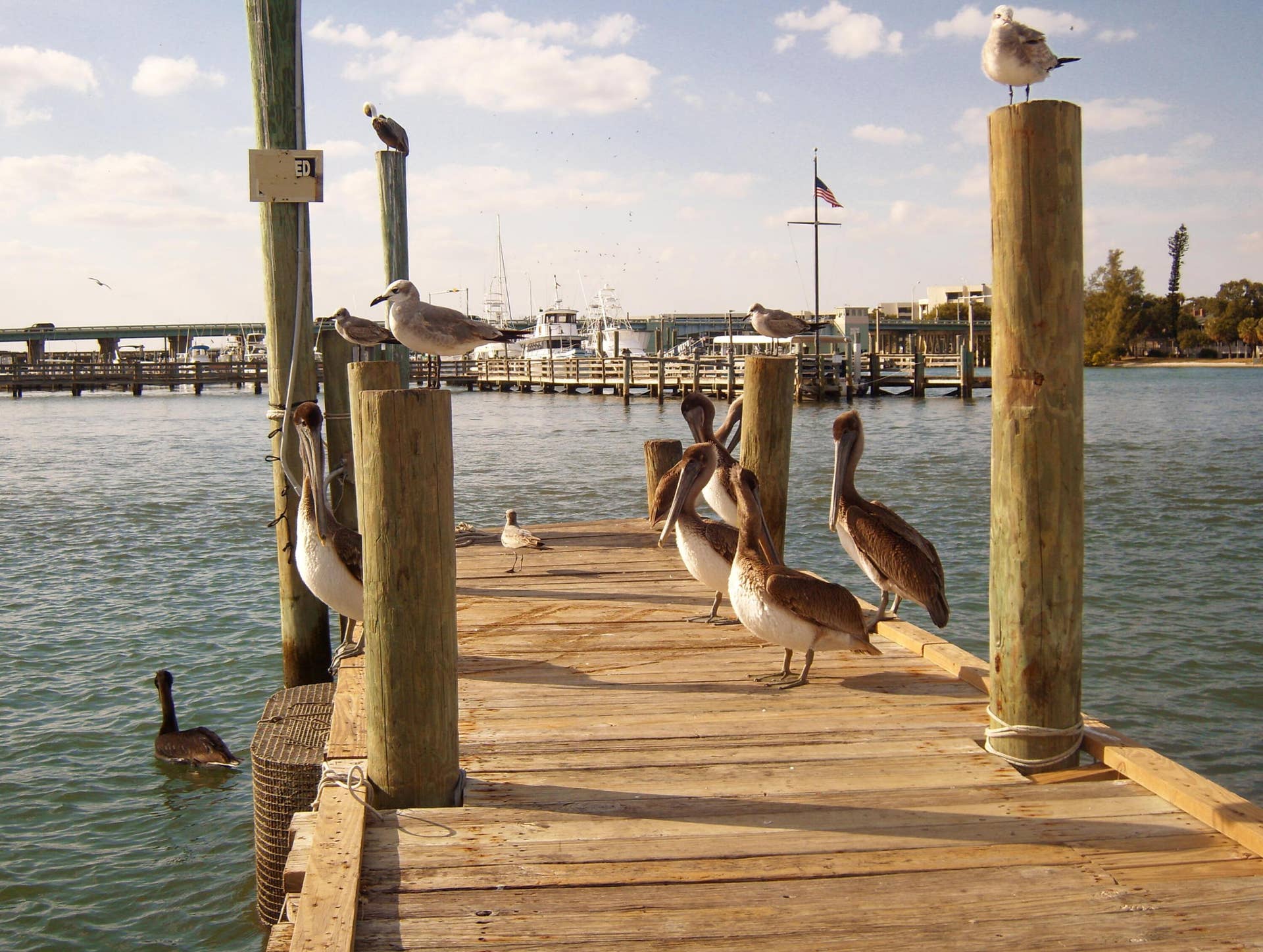 Palm Beach Gardens Communities - Paradis