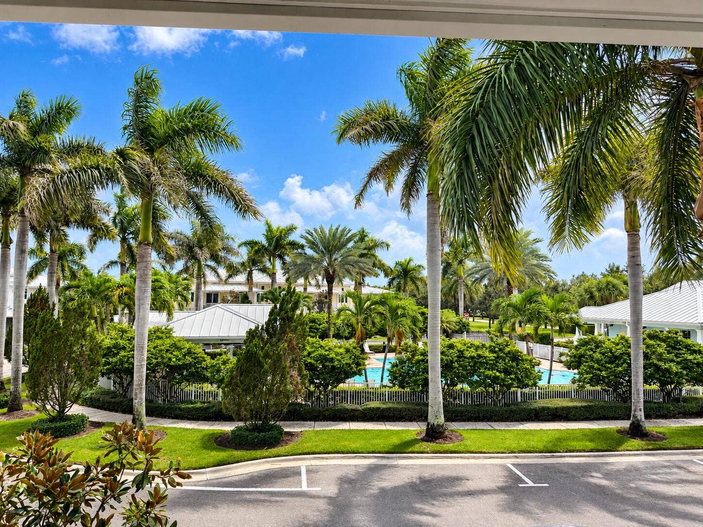 Sunny Tropical Resort Pool View
