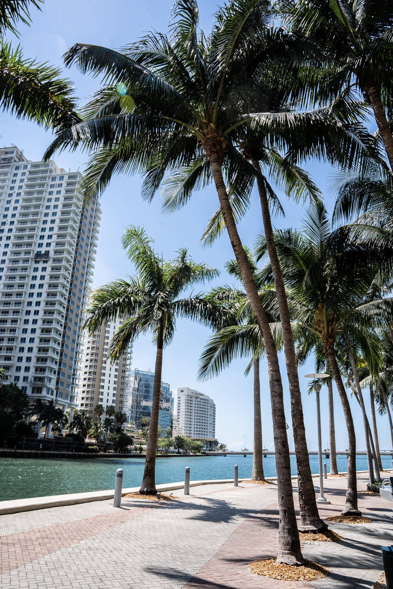 495 BRICKELL Avenue, #811, Miami, FL 33131 DSC03542