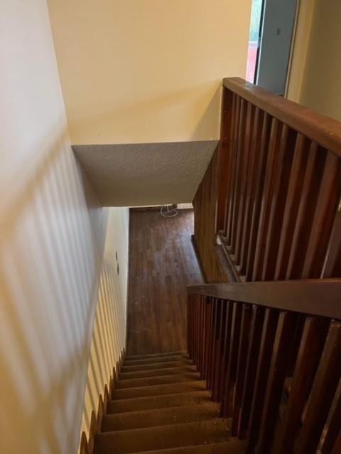 5922 Thomas Street, Hollywood, FL 33021 Photo 6