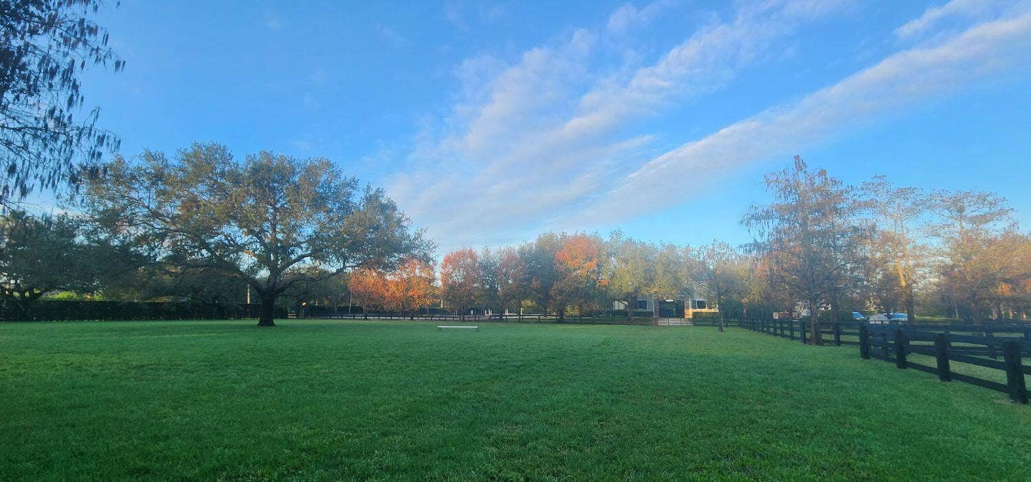 grass riding field