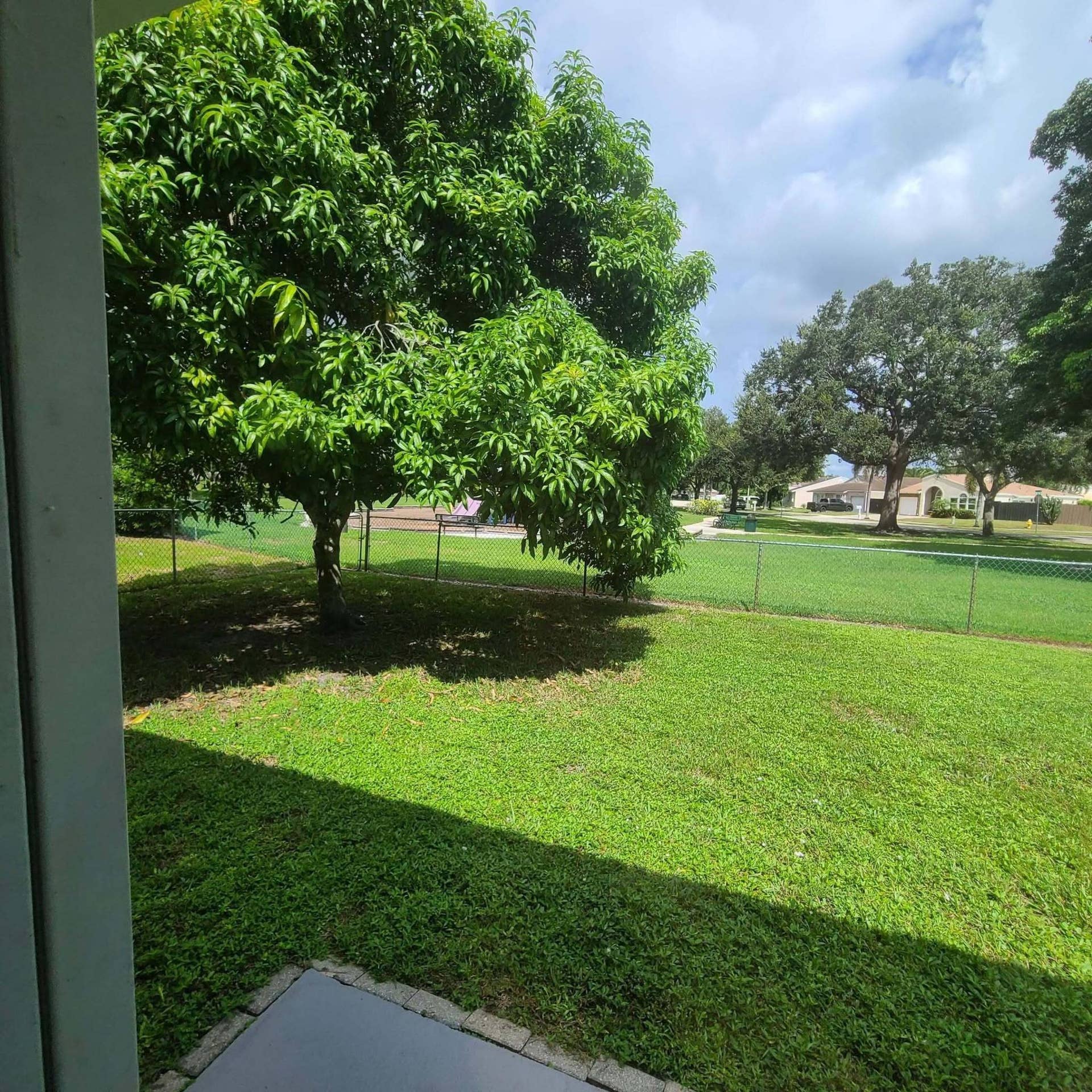 back yard